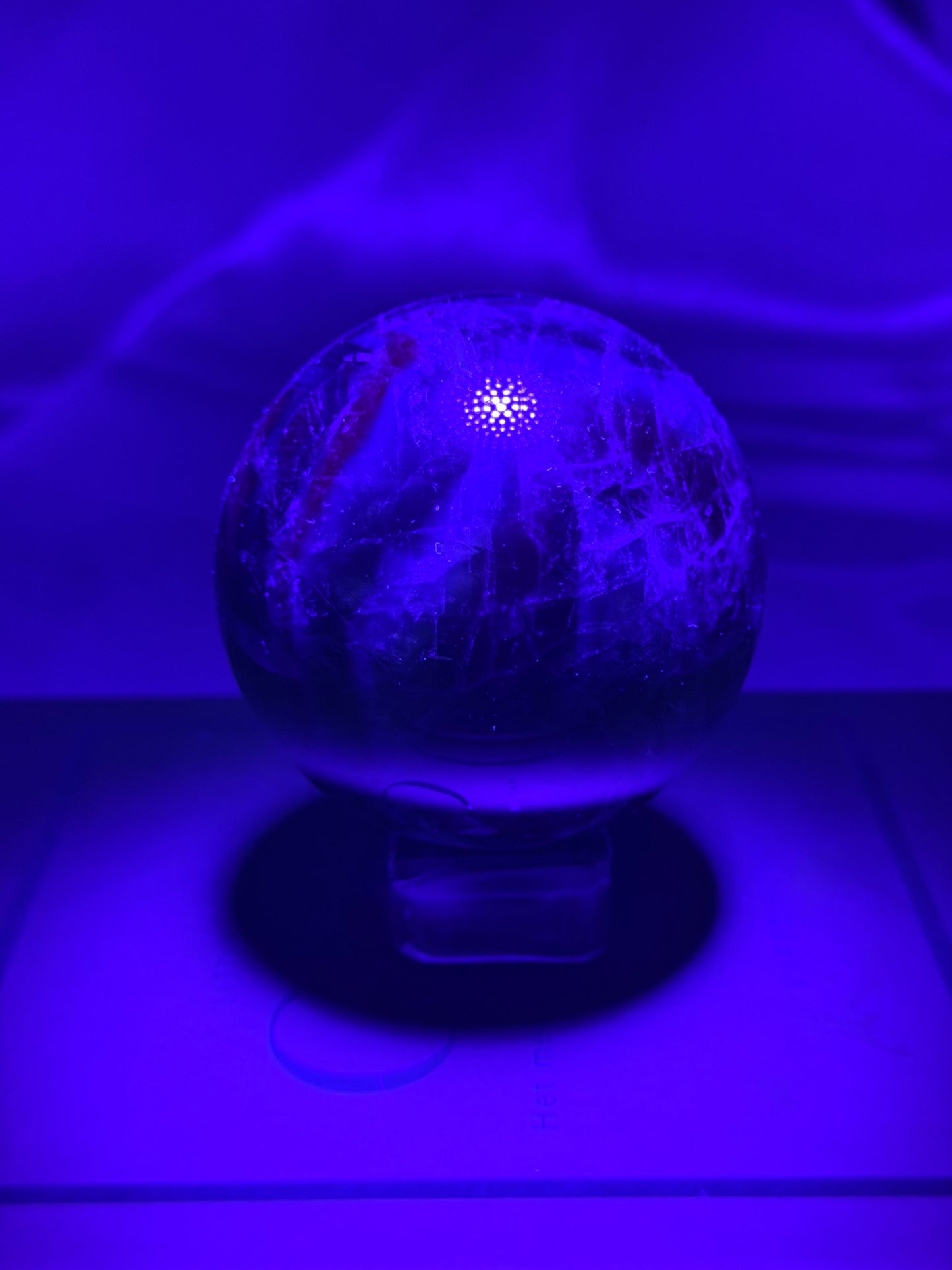 Black Rose Fluoriet bol 47R UV