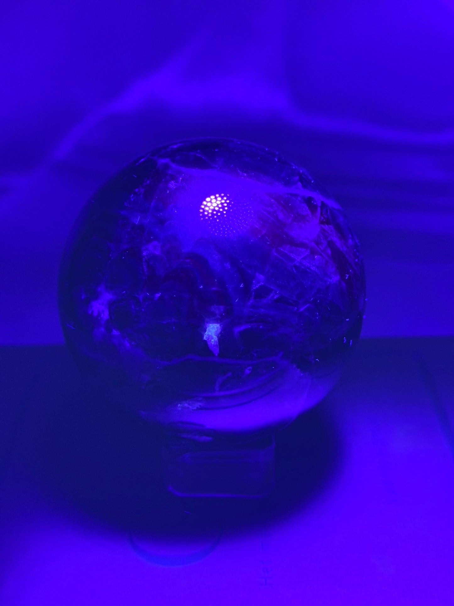 Black Rose Fluoriet bol 59R UV