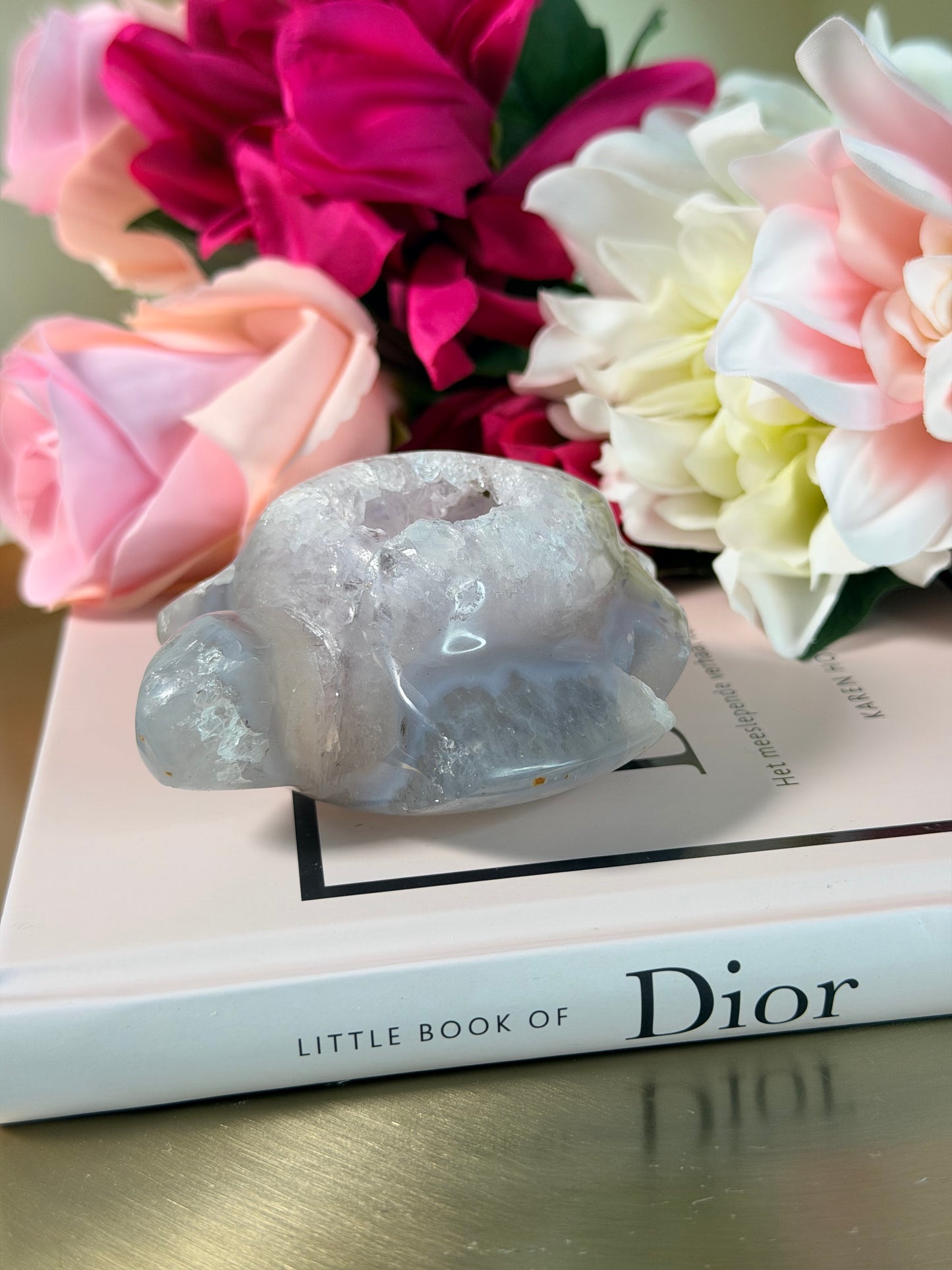 Agaat schildpad 47S2