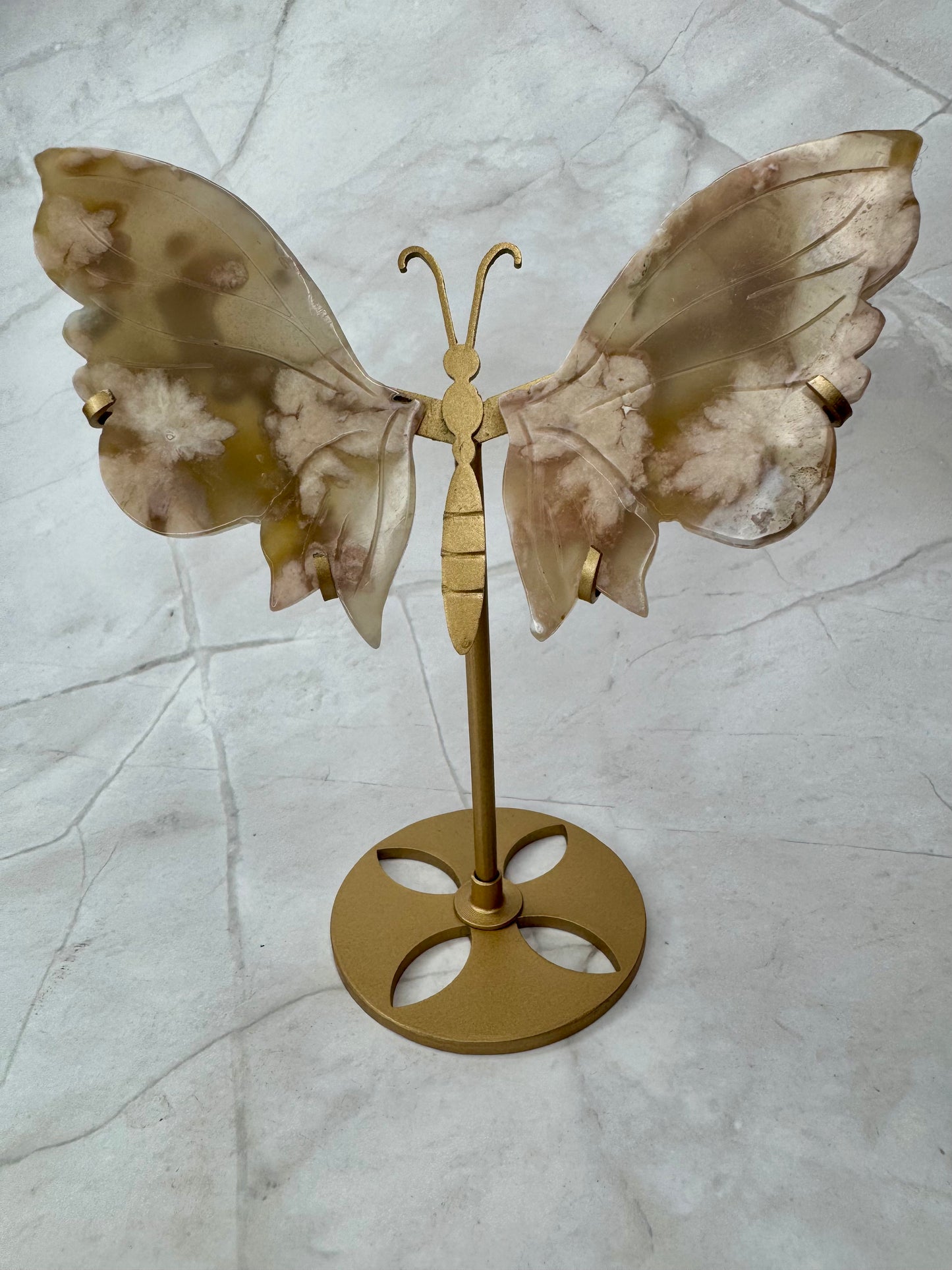 Bloem Agaat vlinder 34