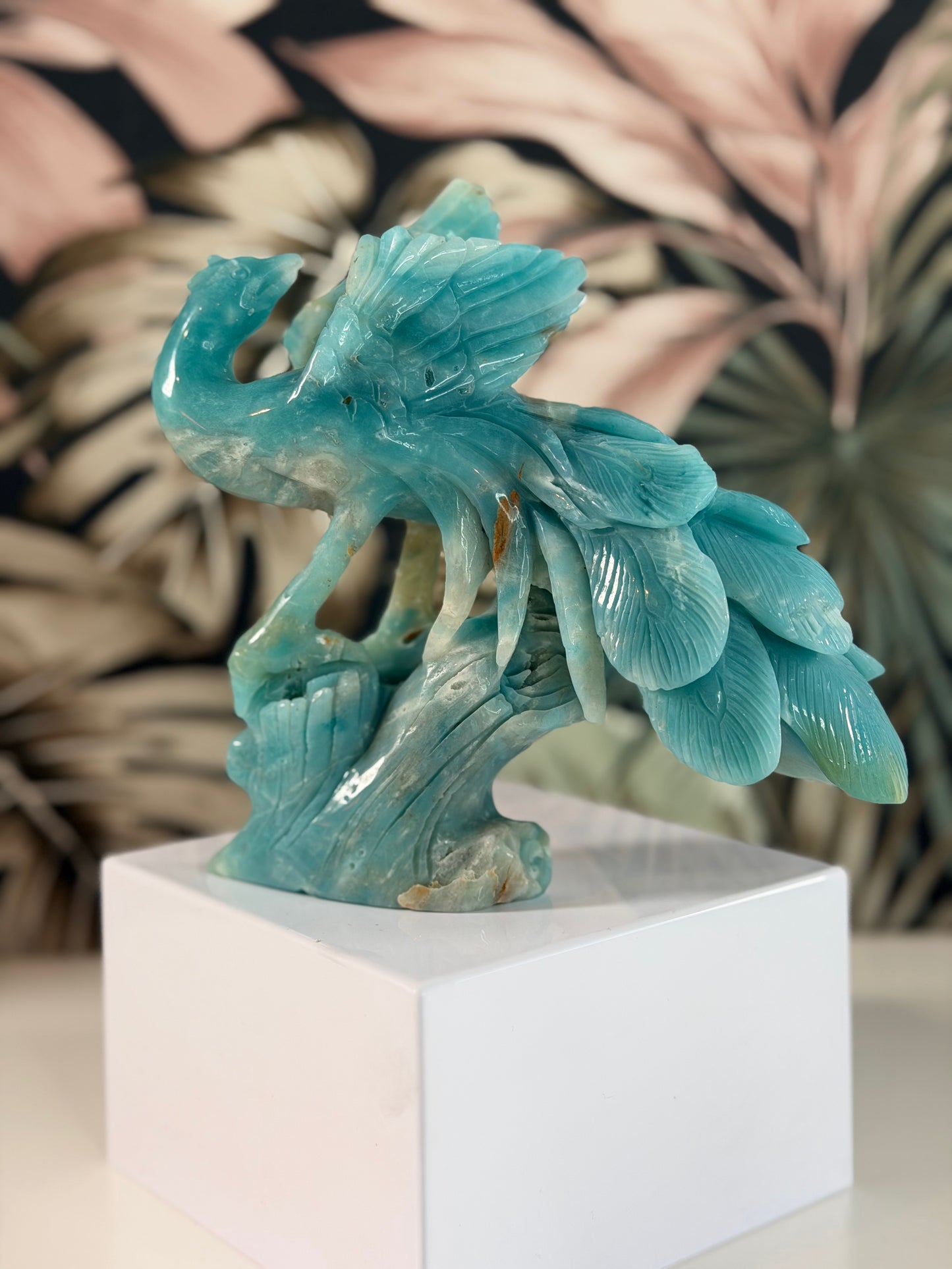 Caribbean Blue Calciet Phoenix