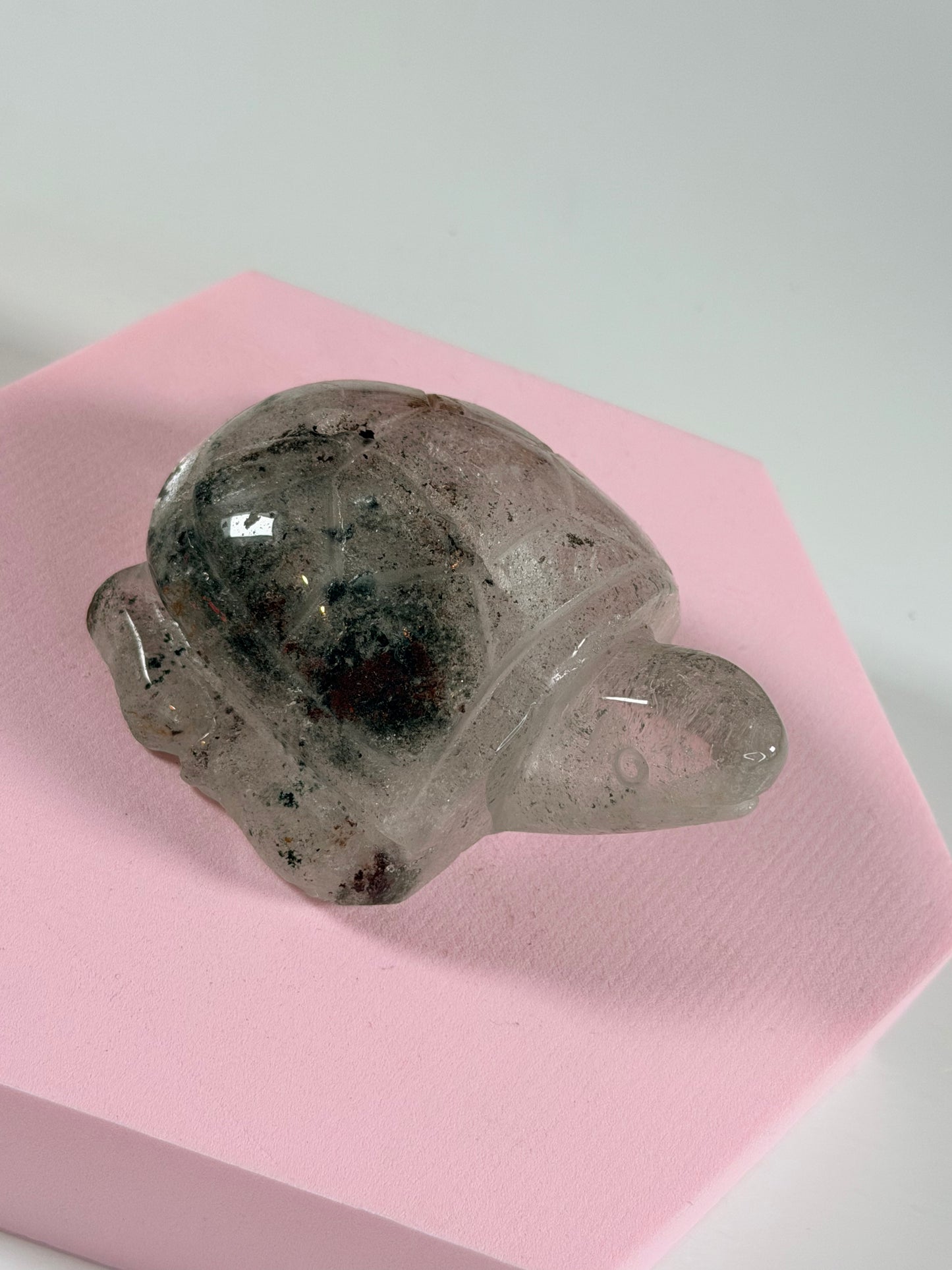 Lodolith Schildkröte 1L