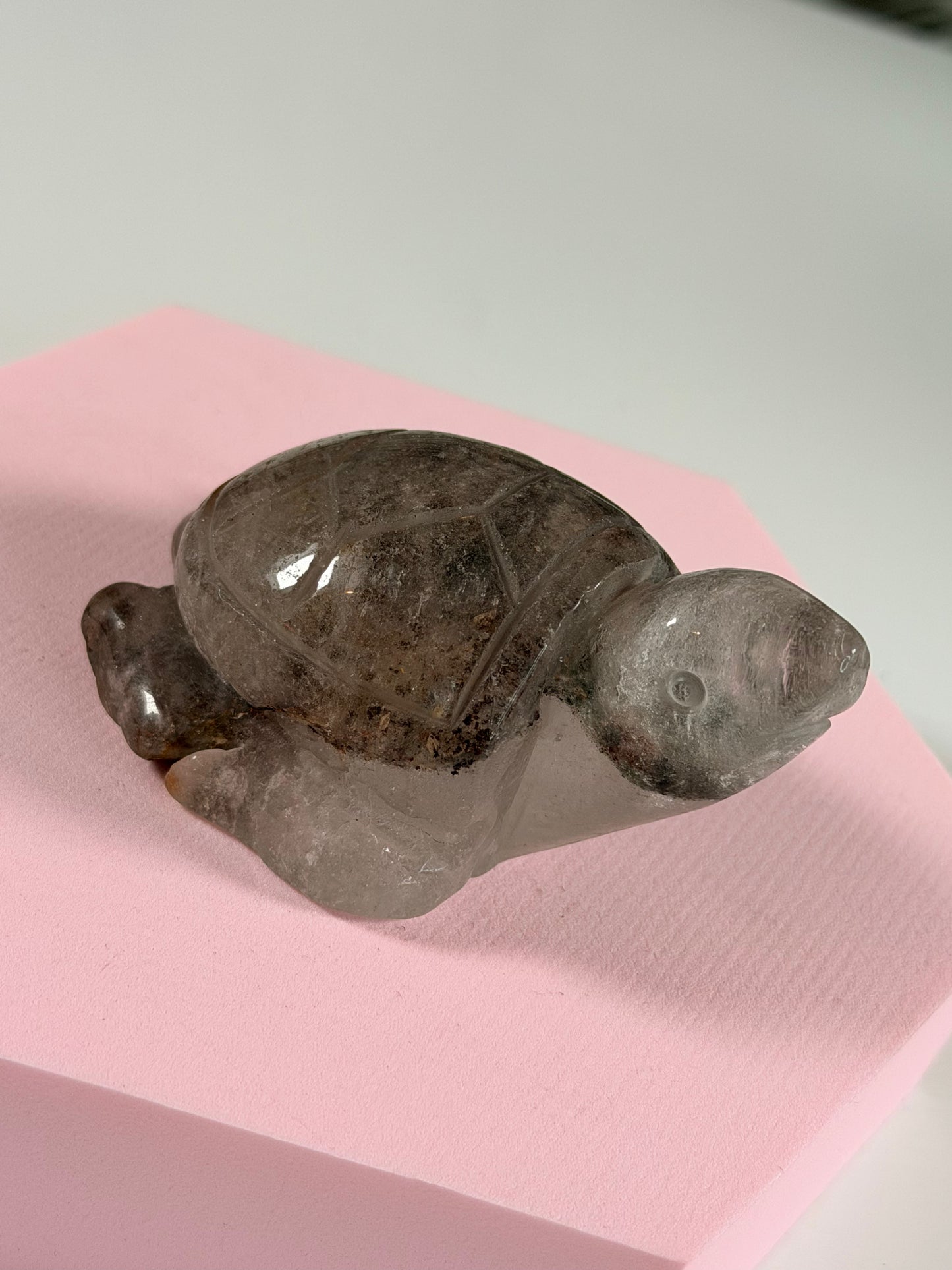 Lodolite turtle 2L