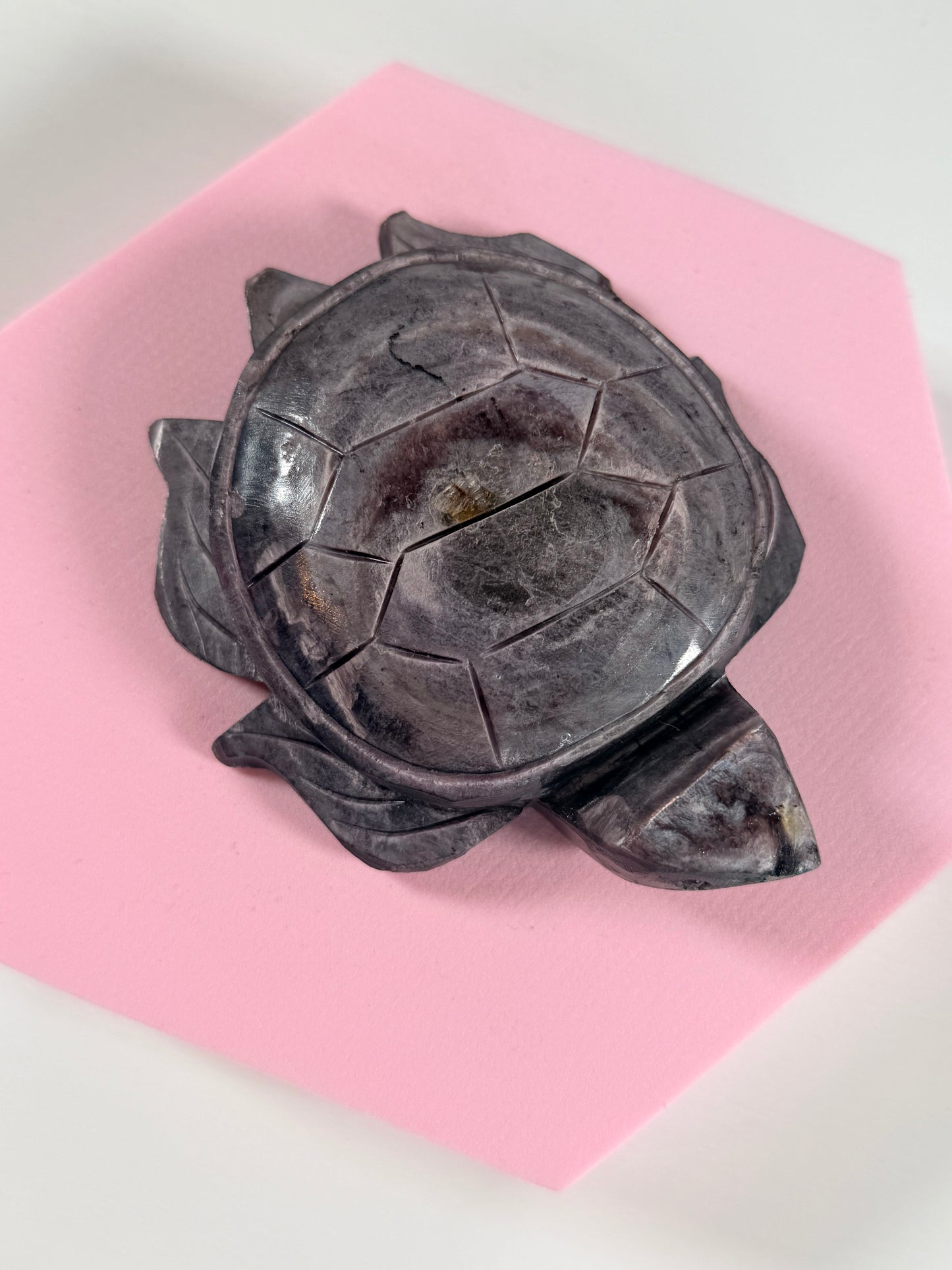 Lila Mica-Schildkröte