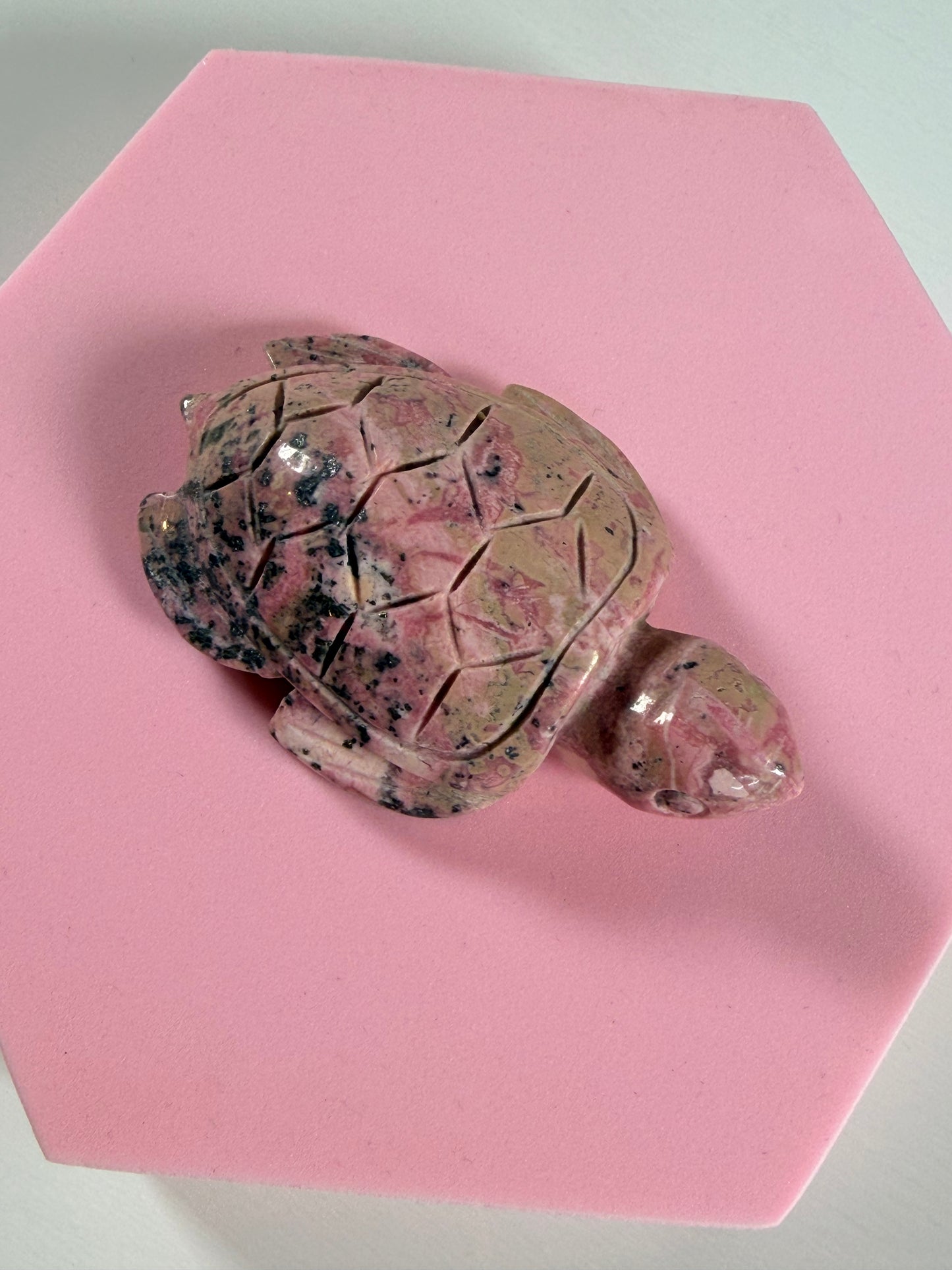 Peruanische Rhodonit-Schildkröte 1 St.