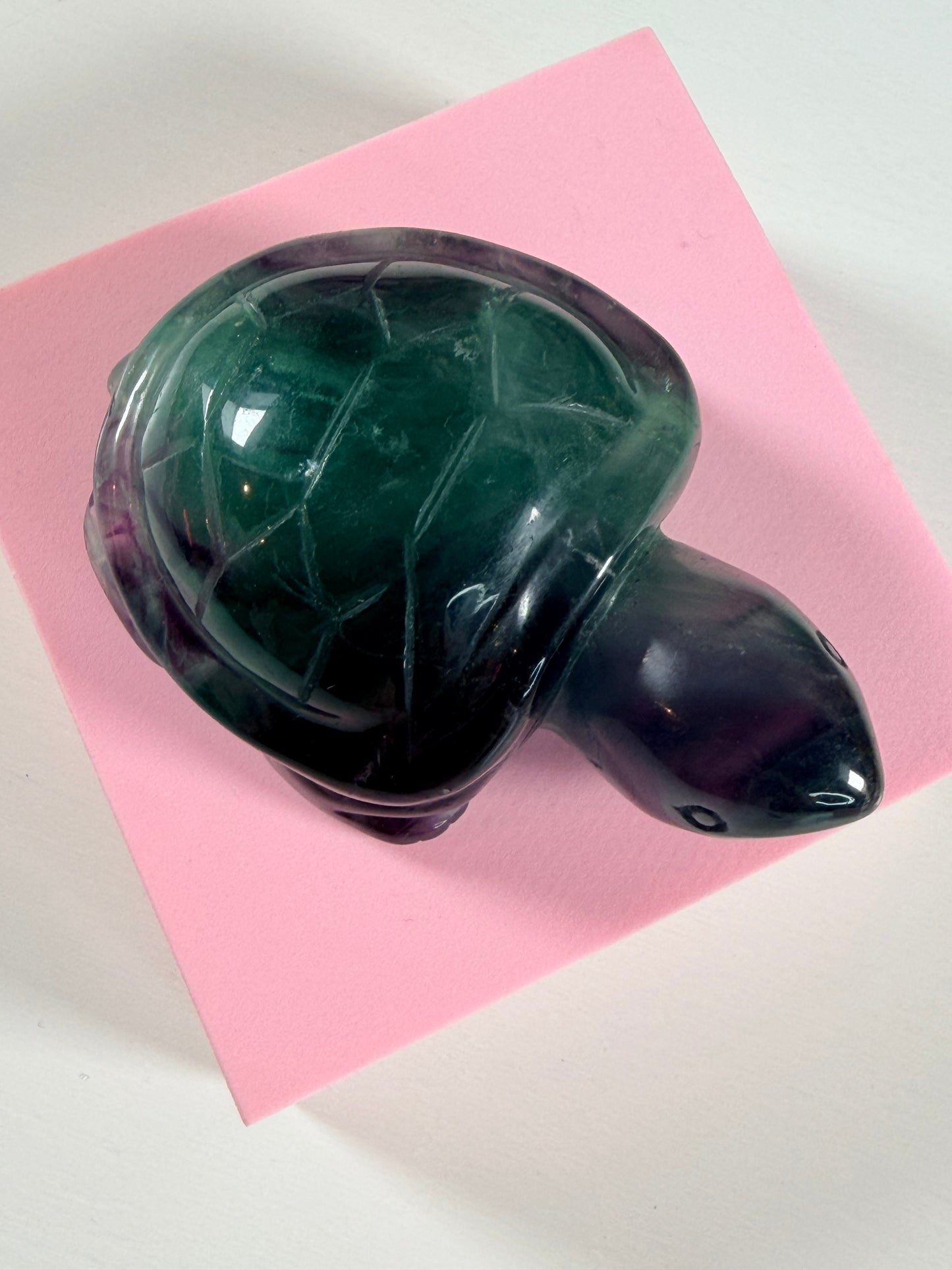 Fluoriet schildpad 4F