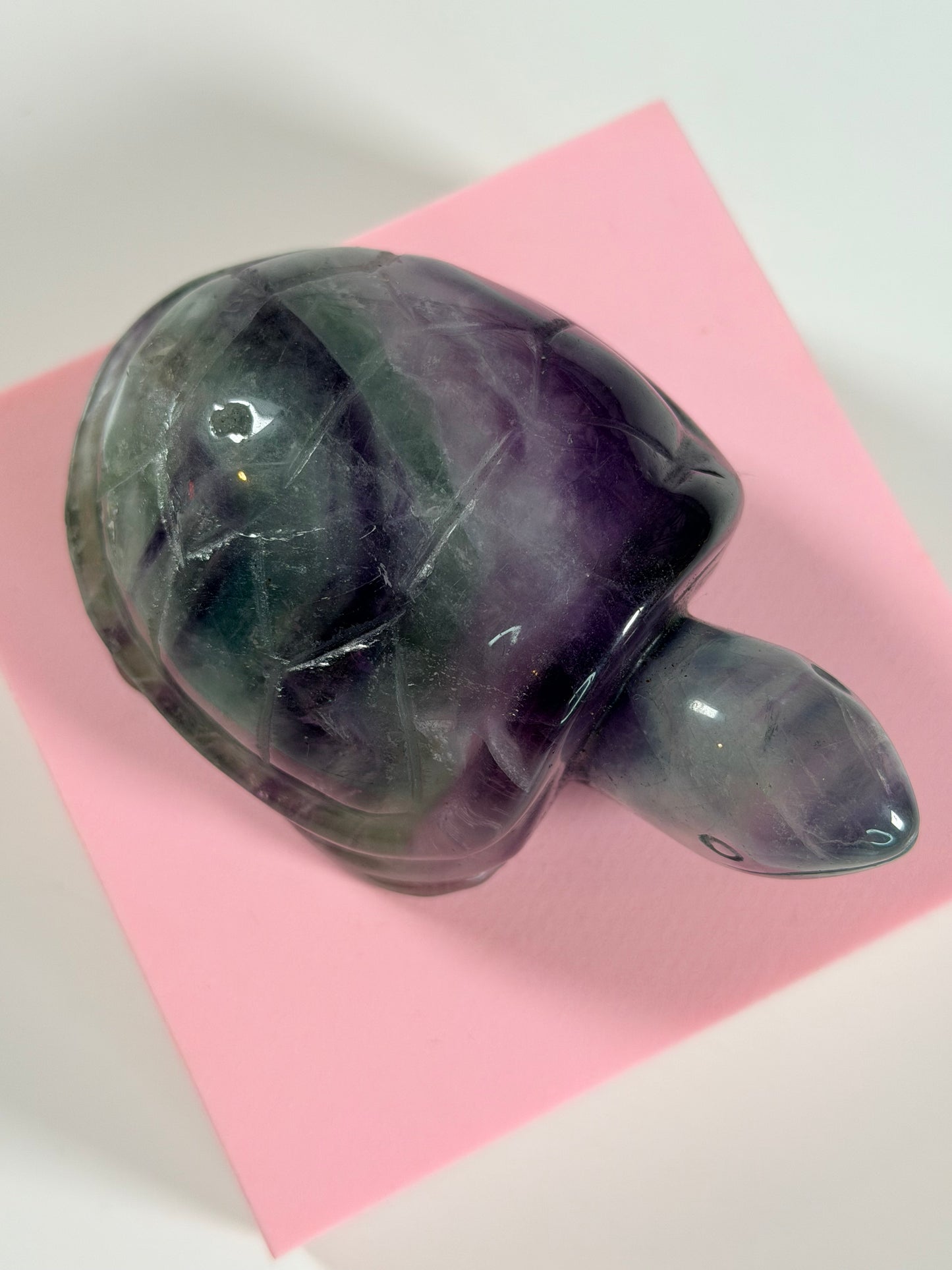 Fluorit Schildkröte 6F
