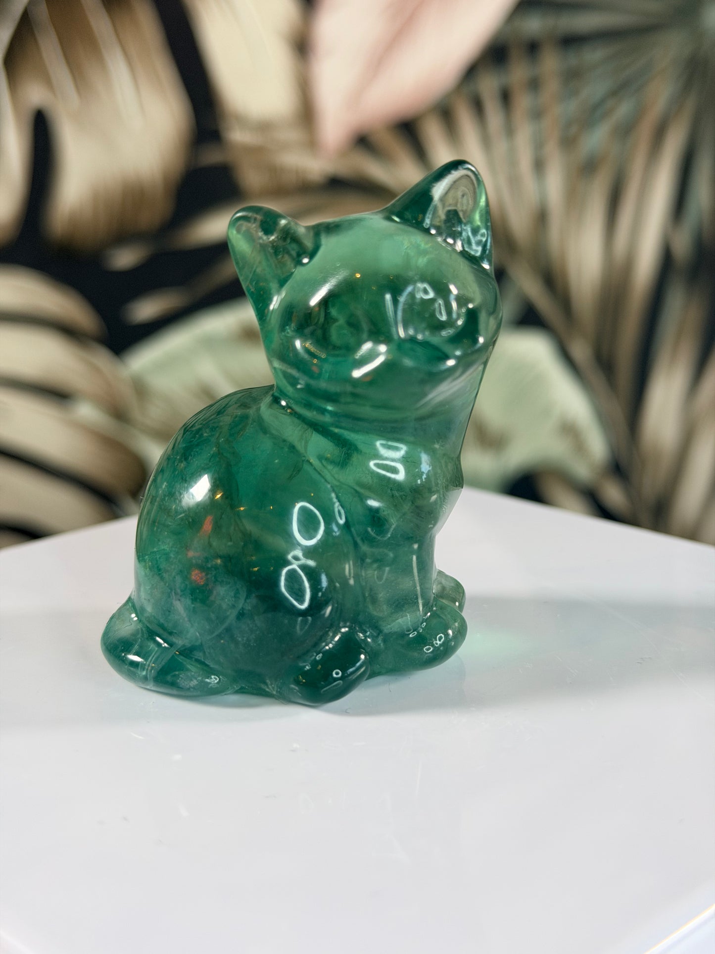 Fluoriet kat 3