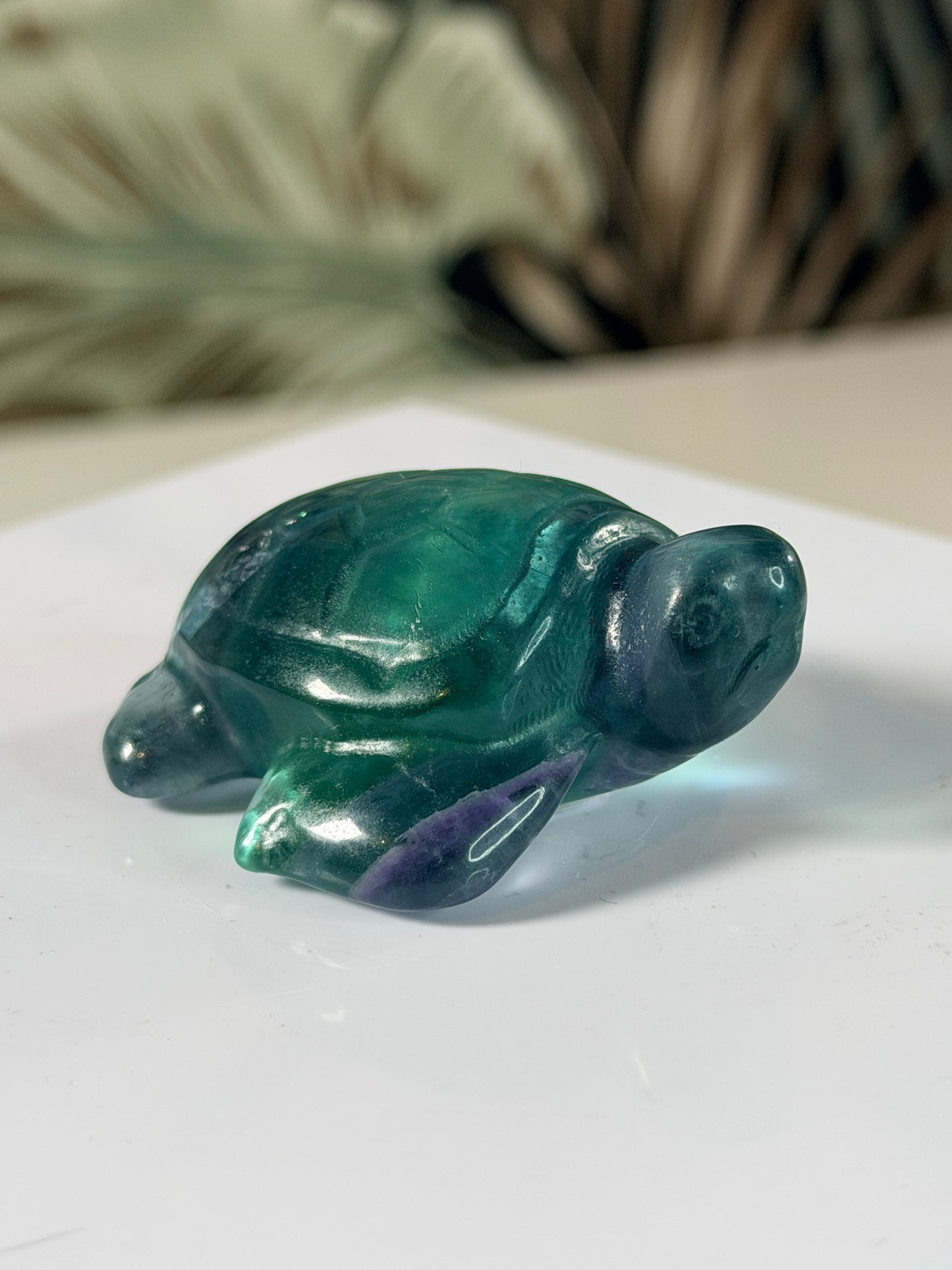 Fluoriet schildpad 1