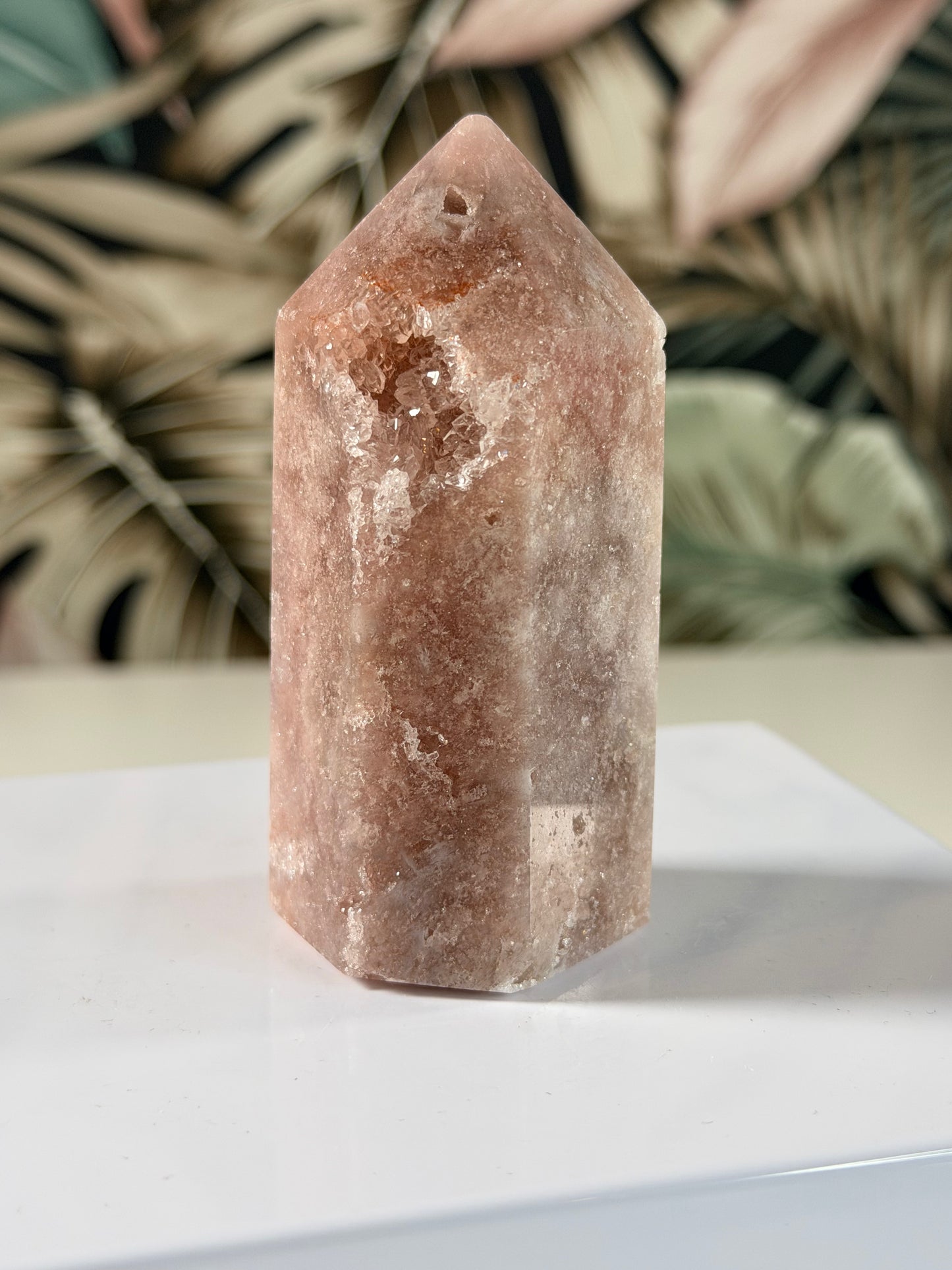 Rosa Amethyst Turm 66