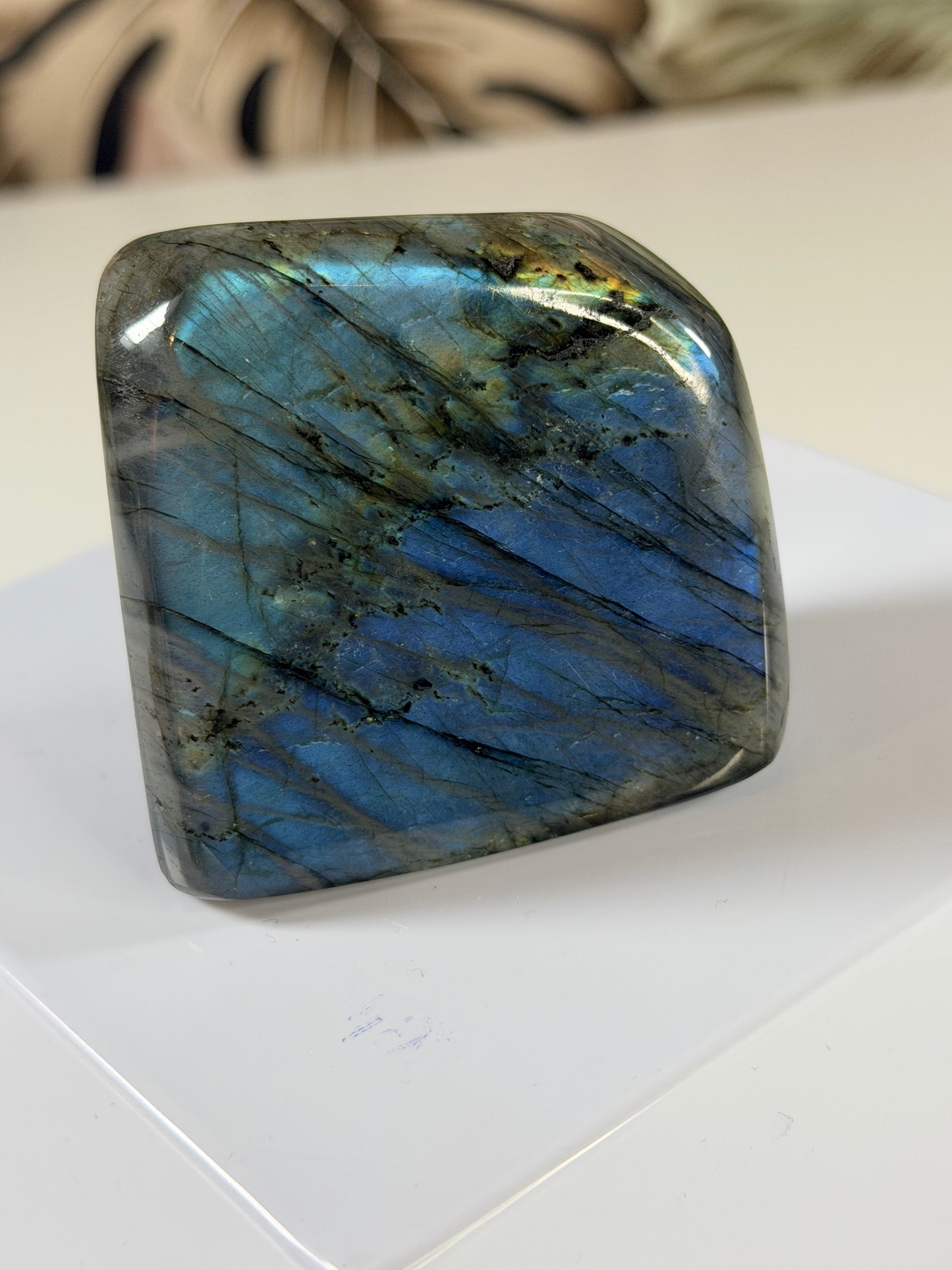 Labradoriet Freeform L28