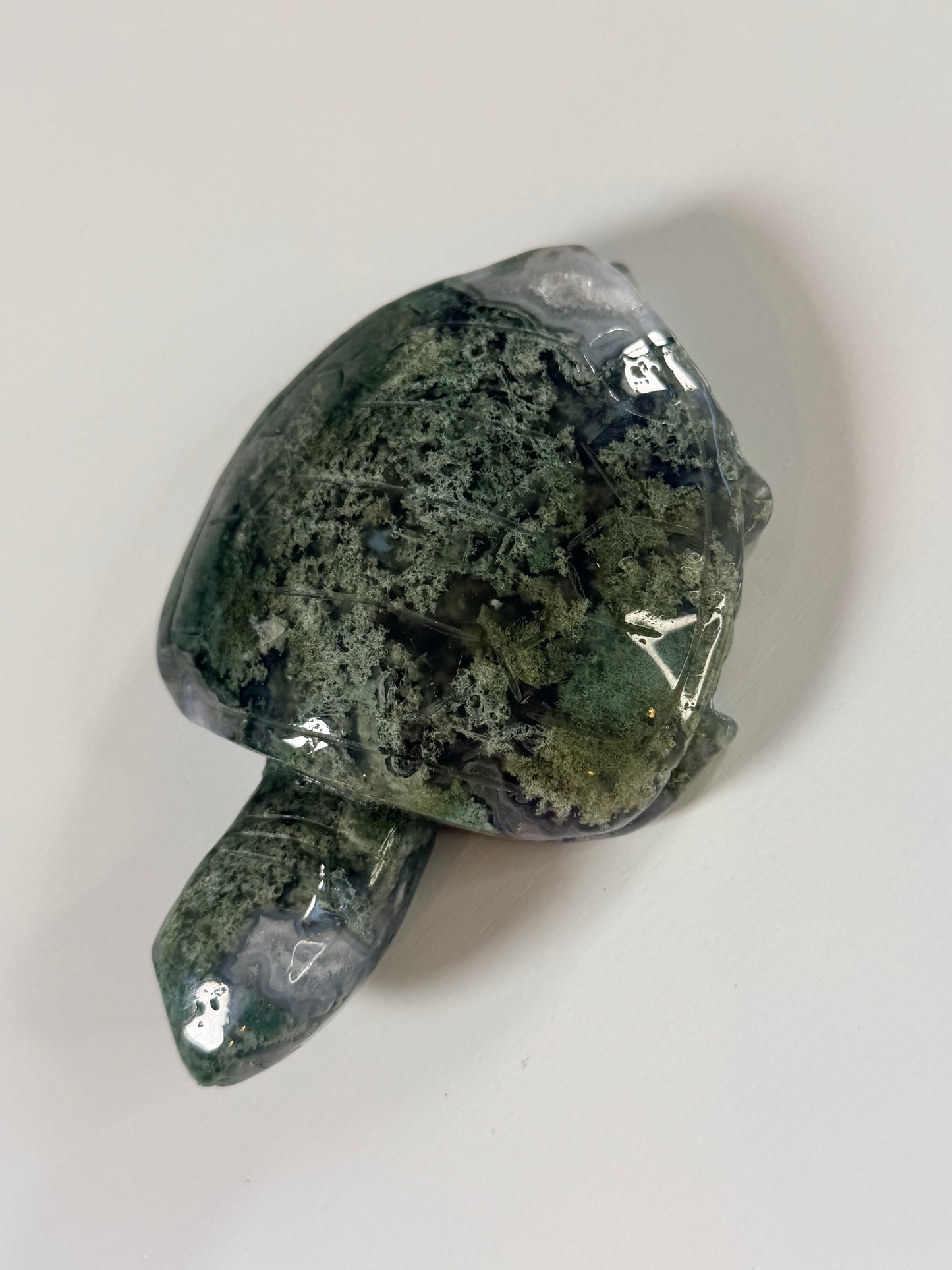 Moss Agate turtle 5