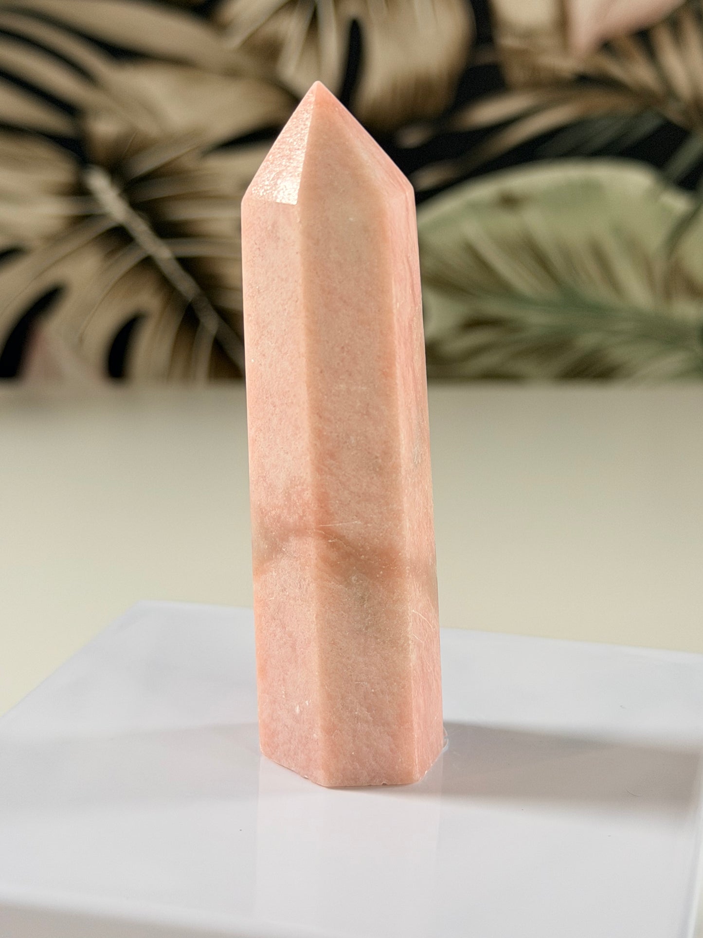 Rosa Opal Turm 4