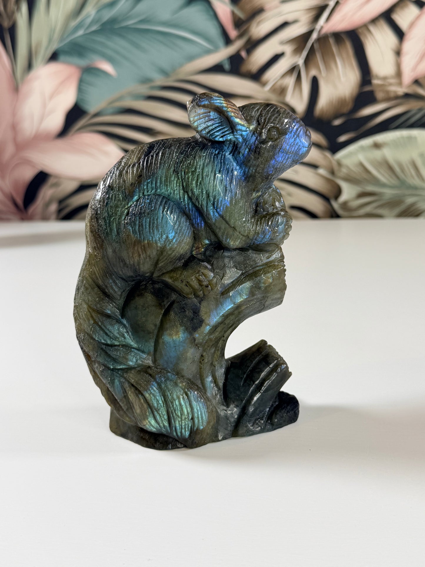 Labradorite Chinchilla