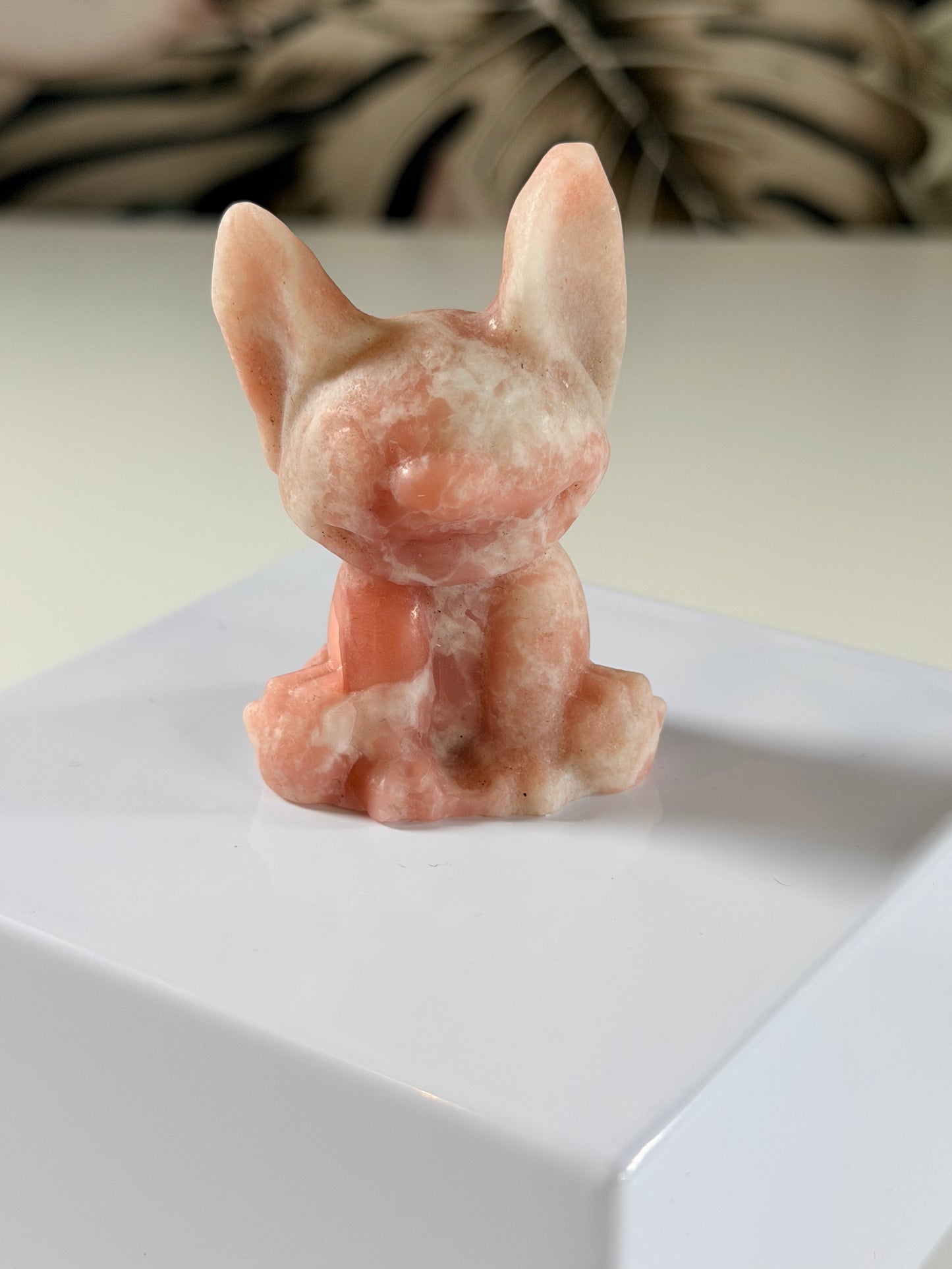 Rosa Opal Stich 9