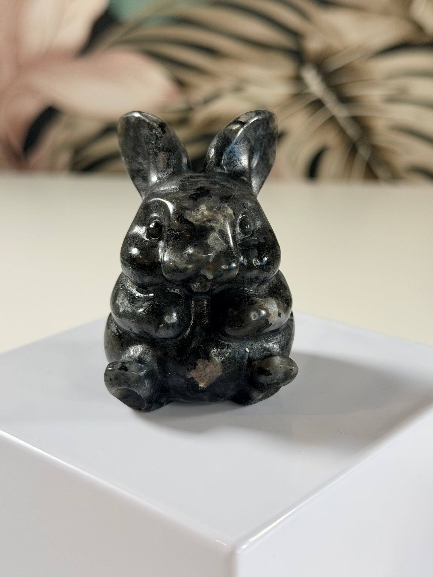 Larvikit-Hase