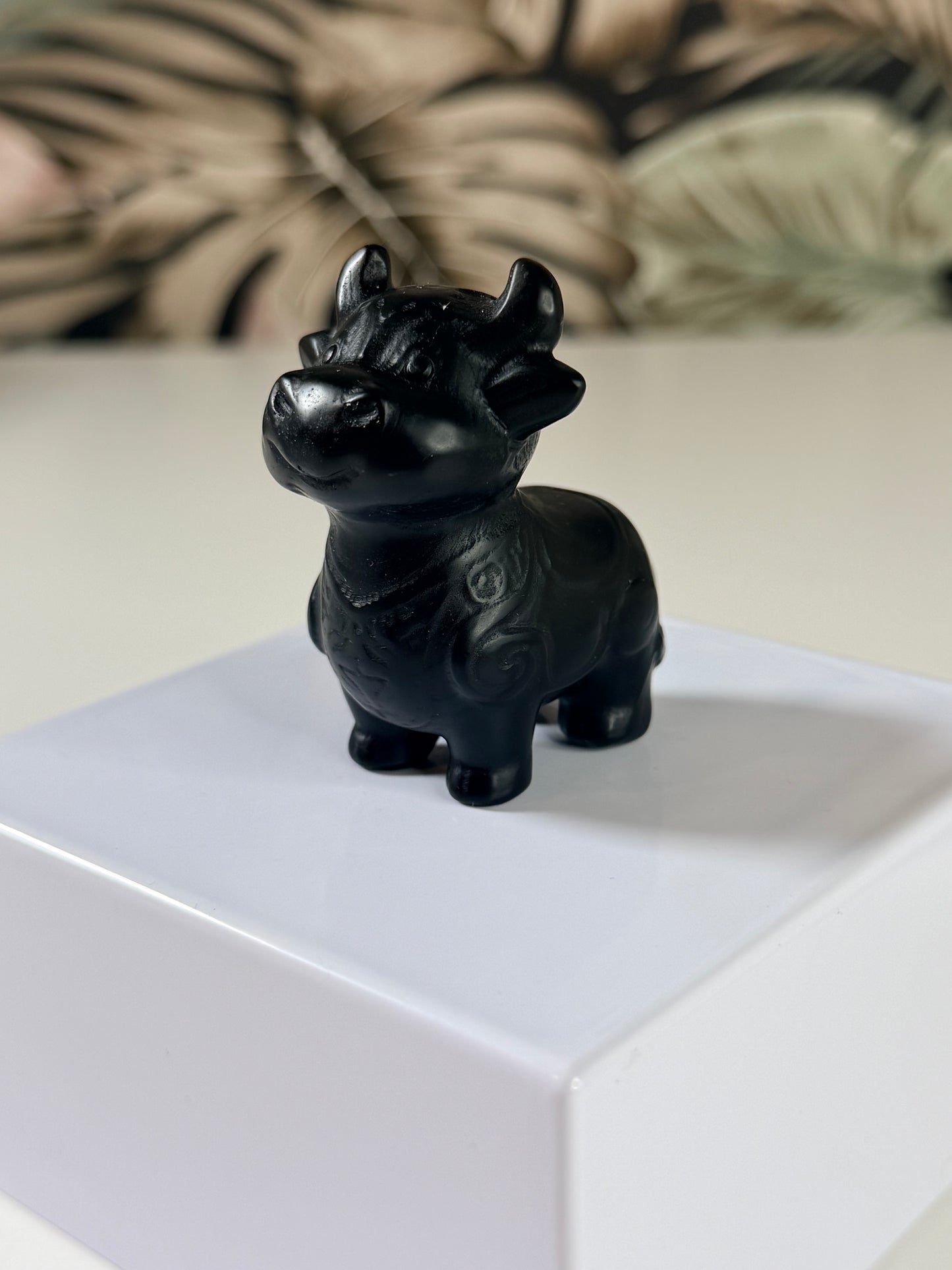 Obsidiaan koe