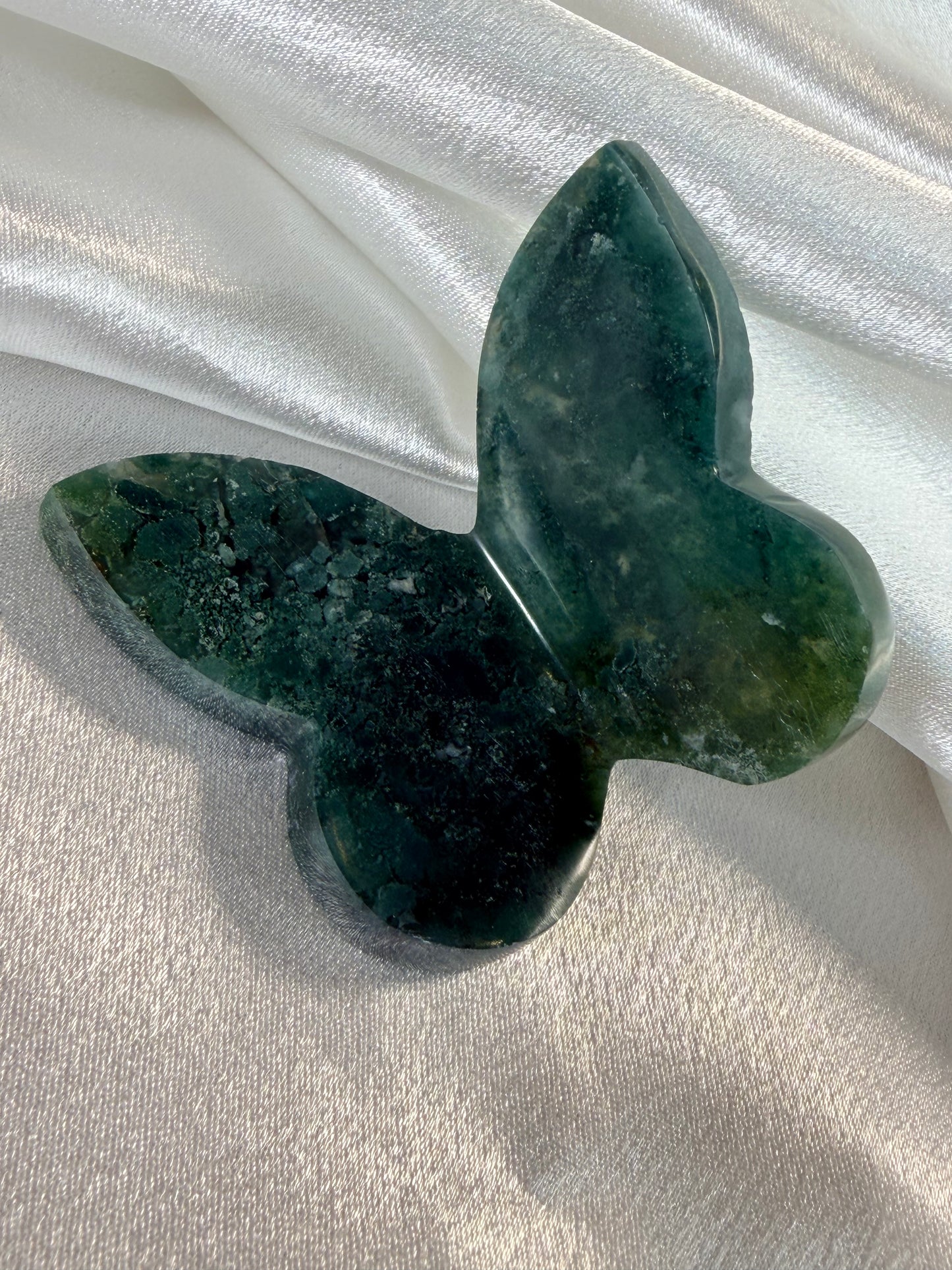 Mosagaat vlinder 2