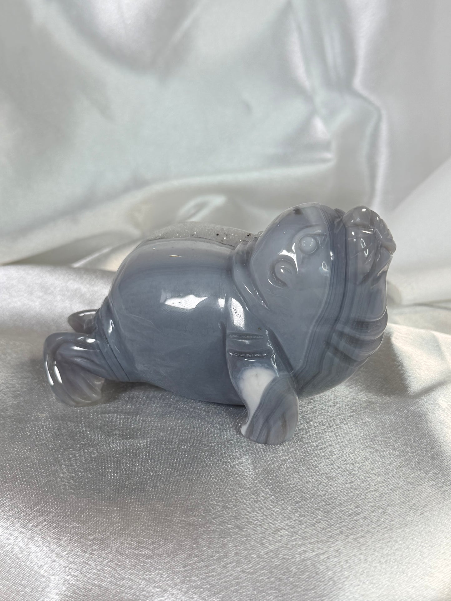 Agaat Walrus 2