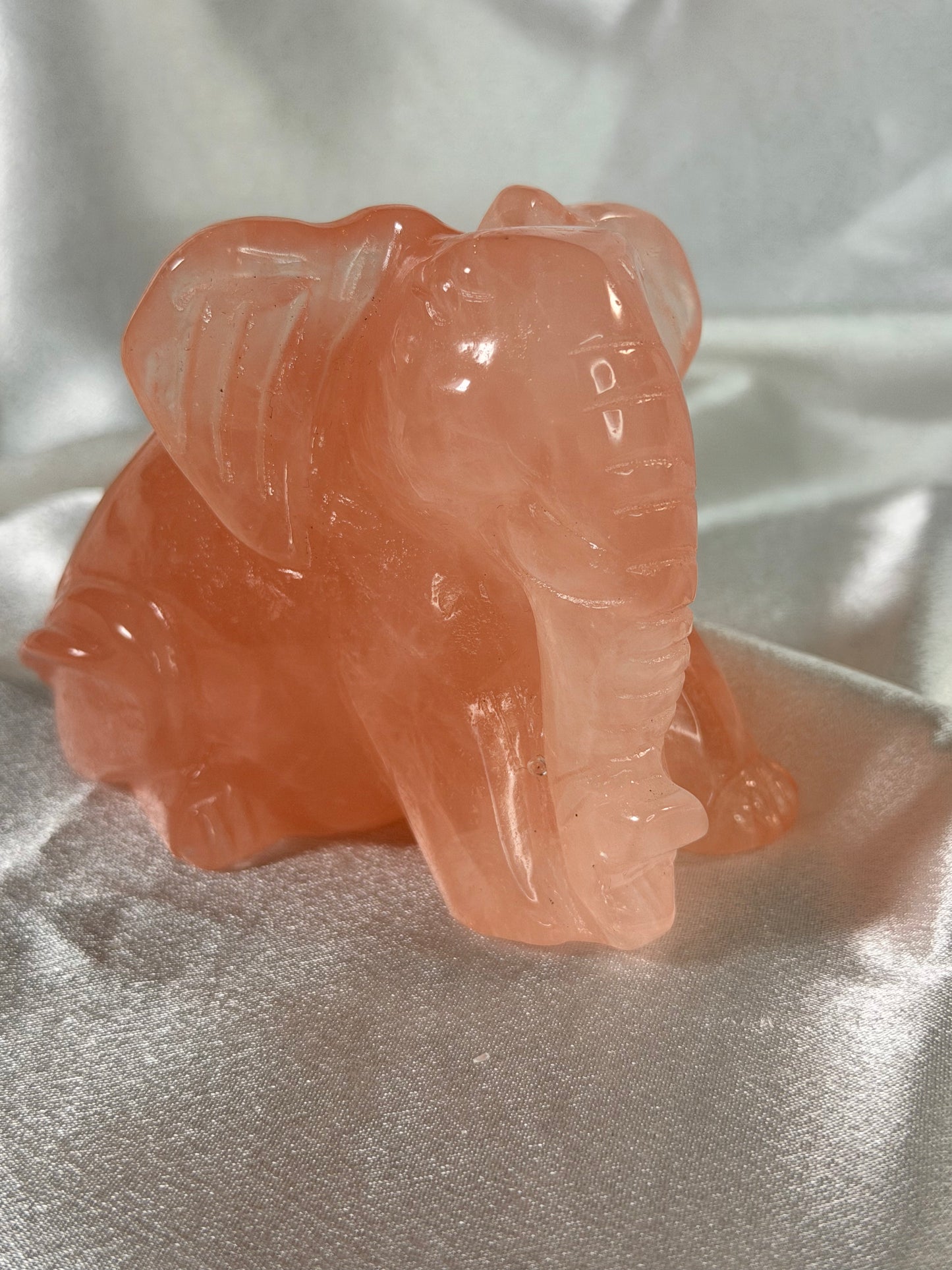 Rozenkwarts olifant