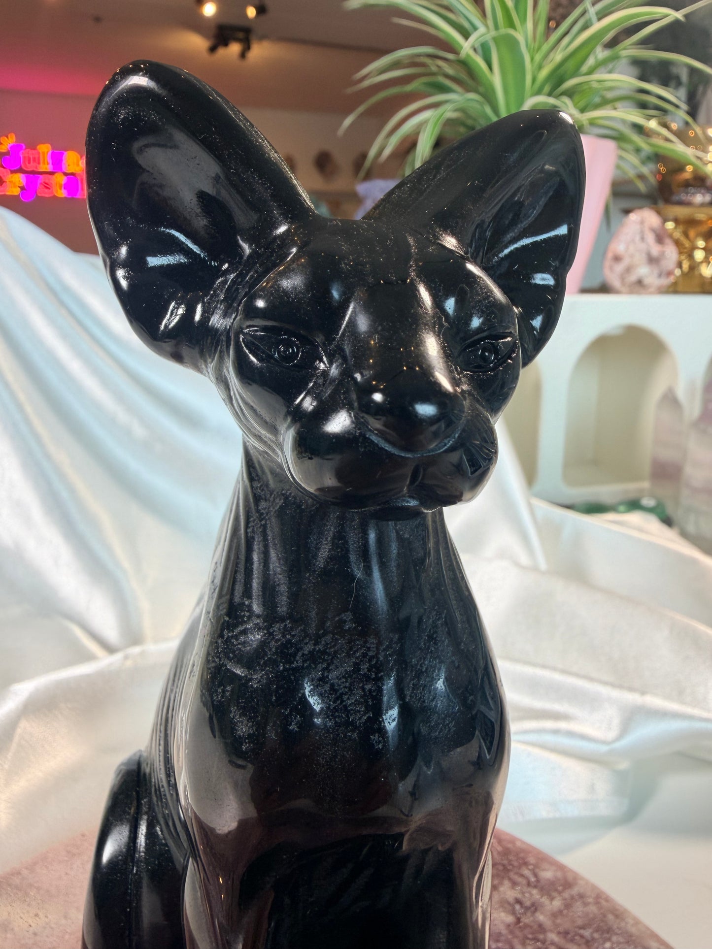 Obsidiaan sphinx kat