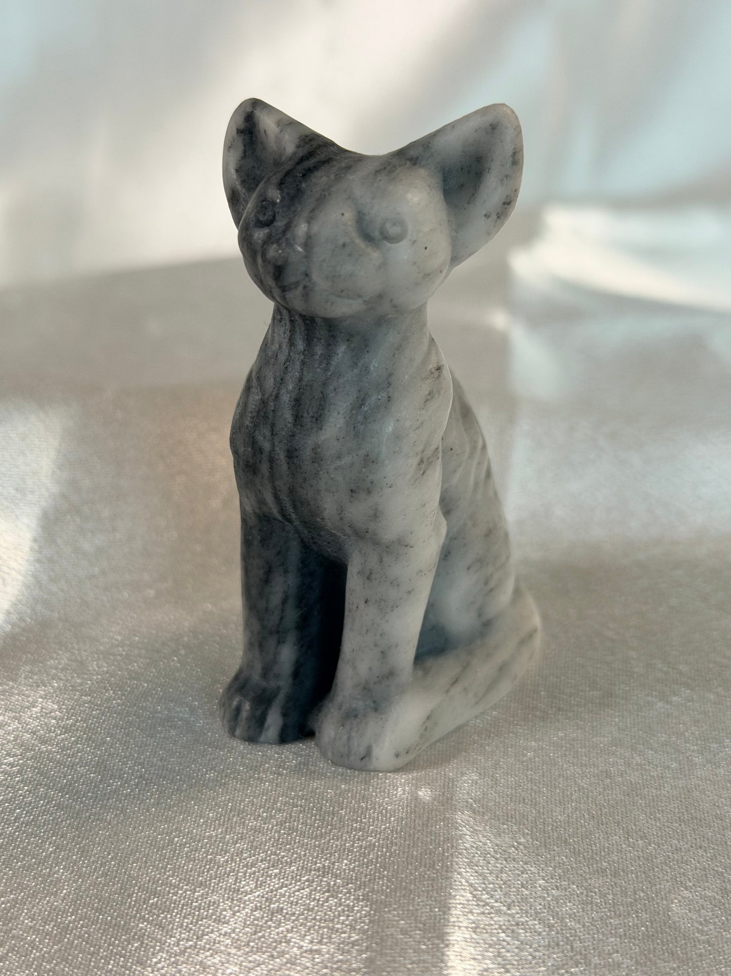 Tai Chi sphinx kat 1