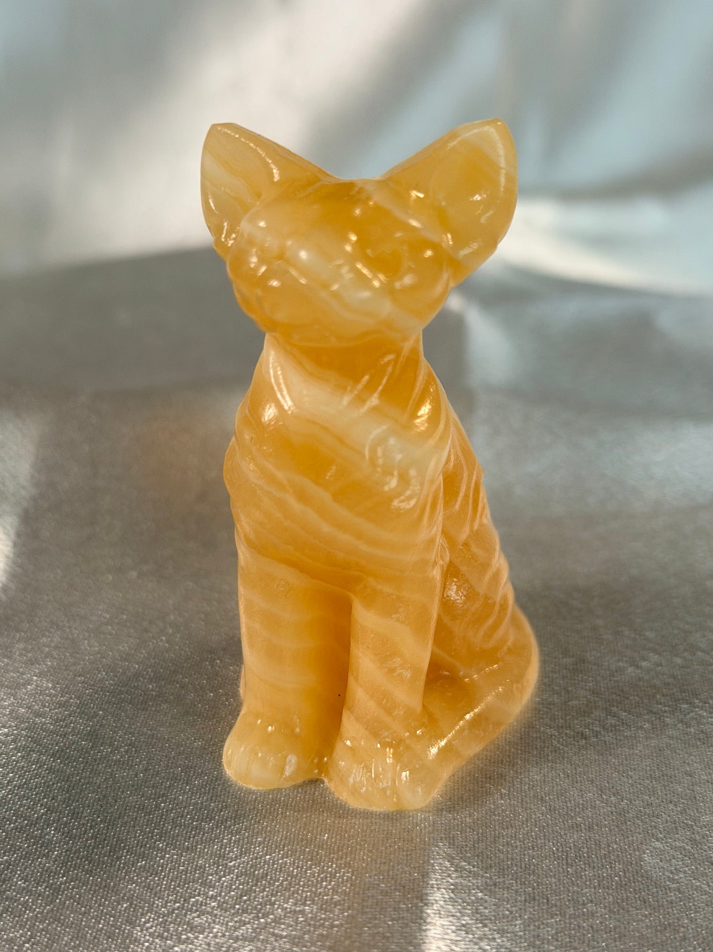 Gele Calciet sphinx kat