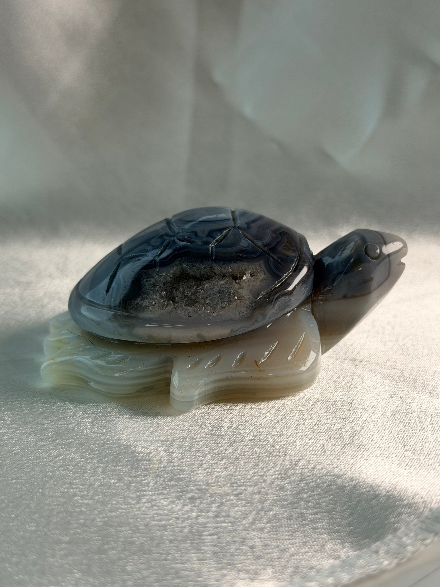 Swazi Agaat schildpad 1