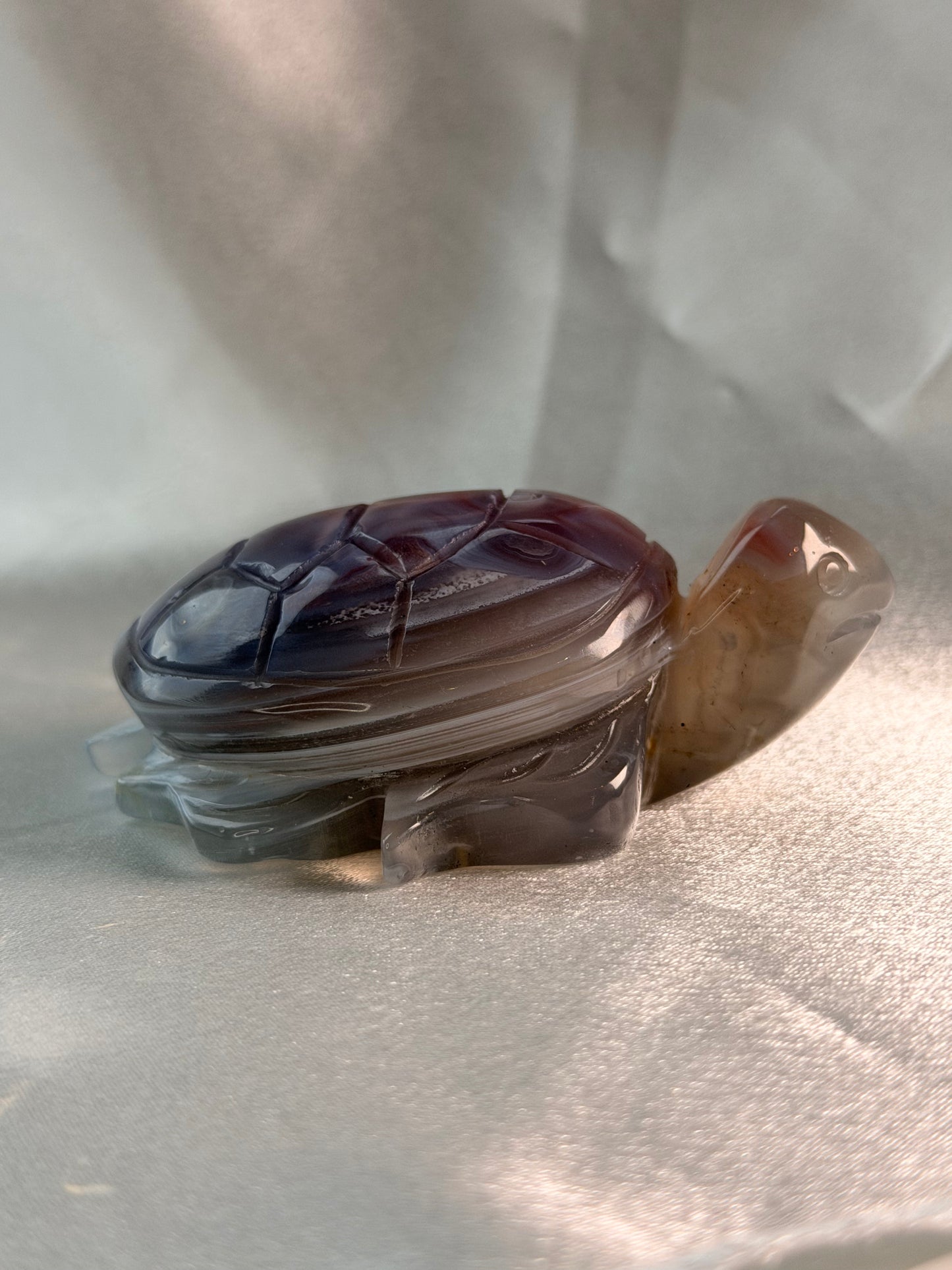 Swazi Agaat schildpad 2
