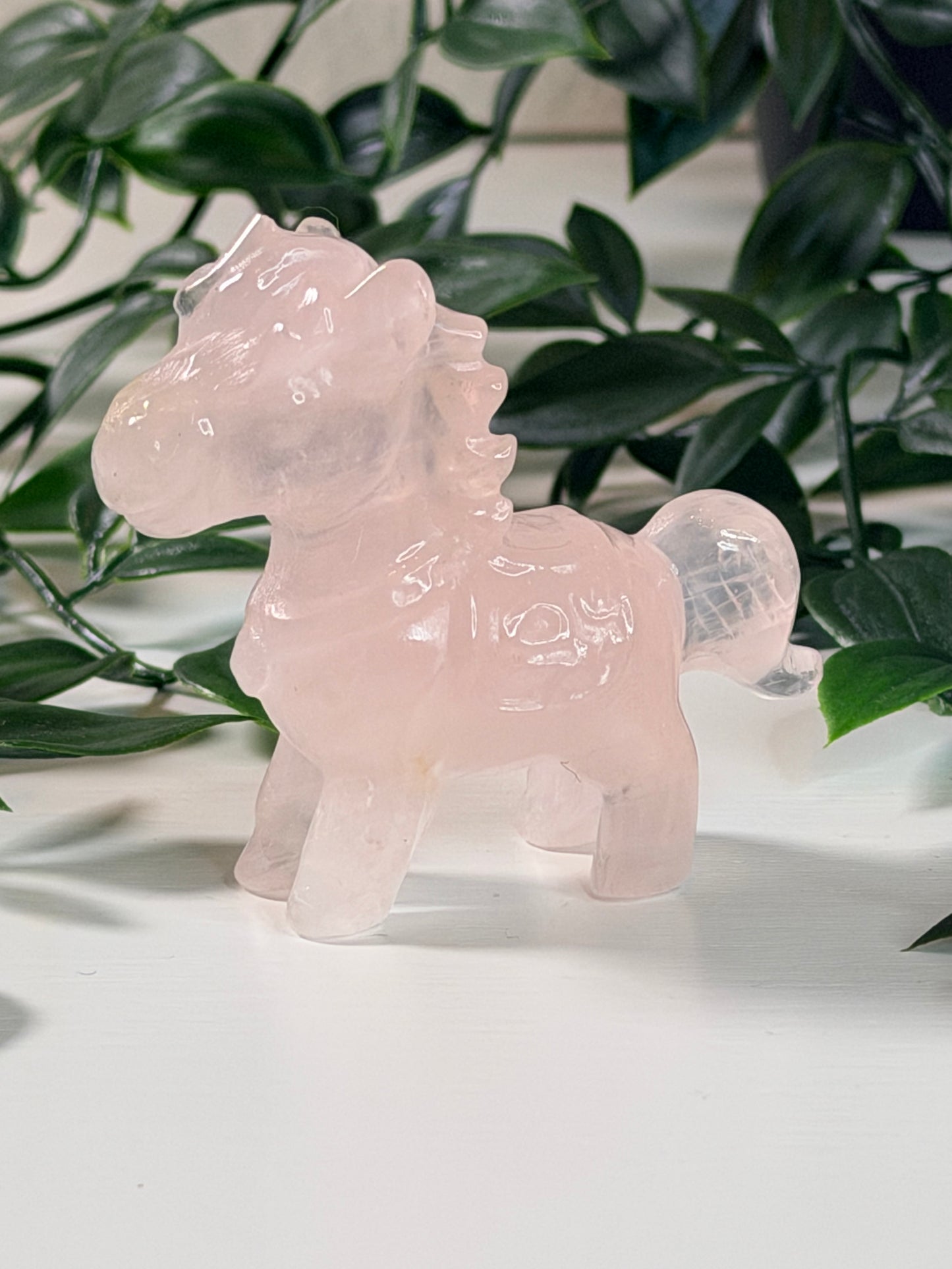 Rozenkwarts paardje P4