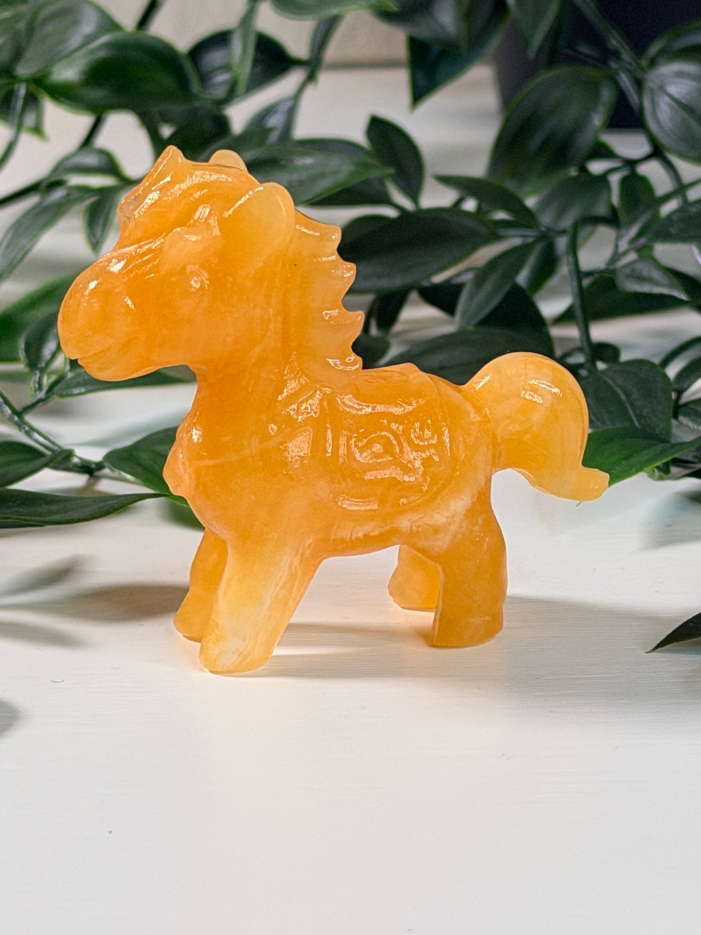 Gele Calciet paardje P7