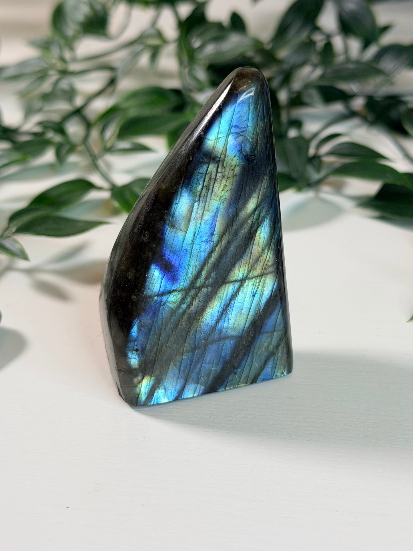 Labradoriet Freeform L3