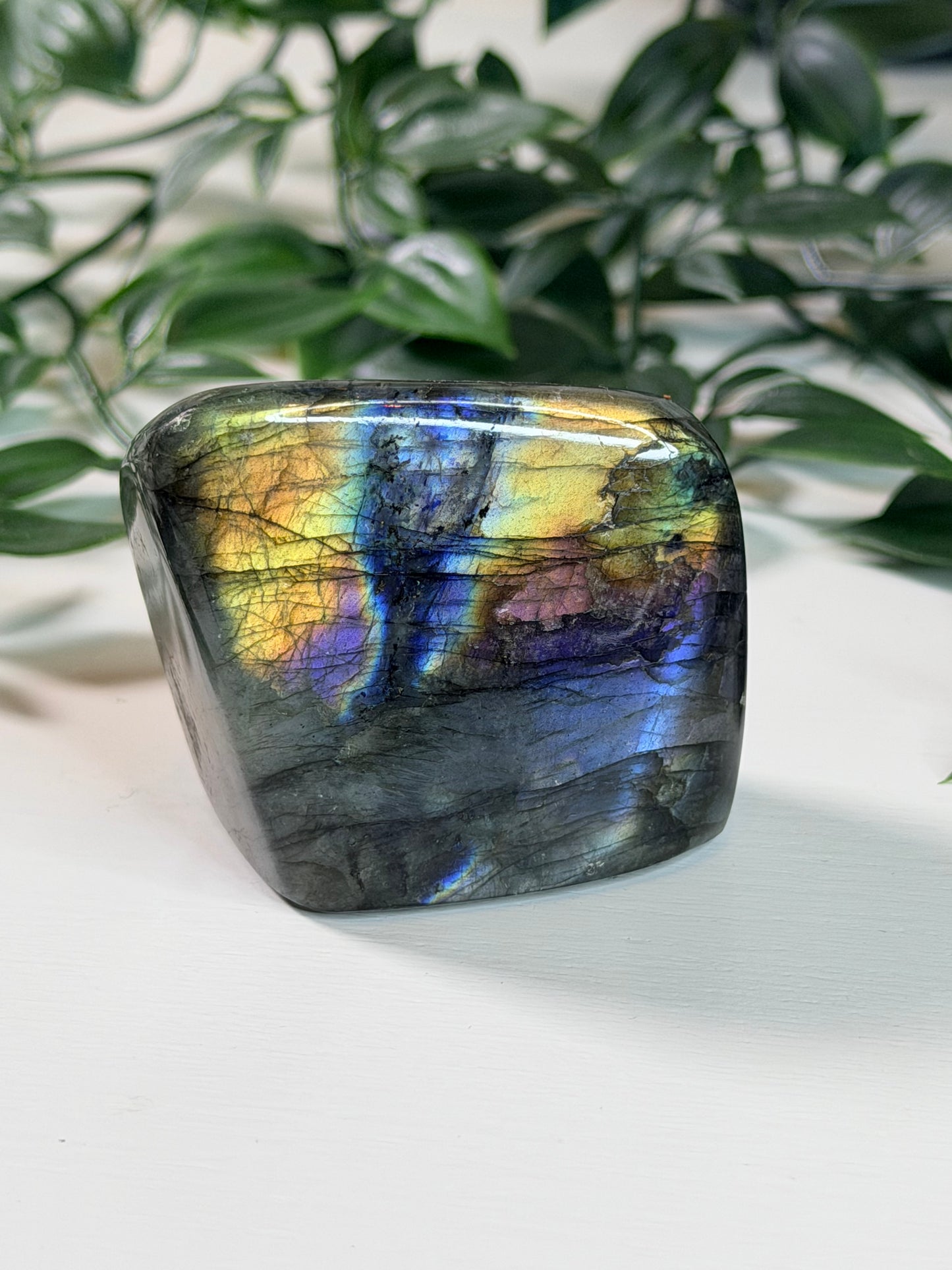 Labradoriet Freeform L4