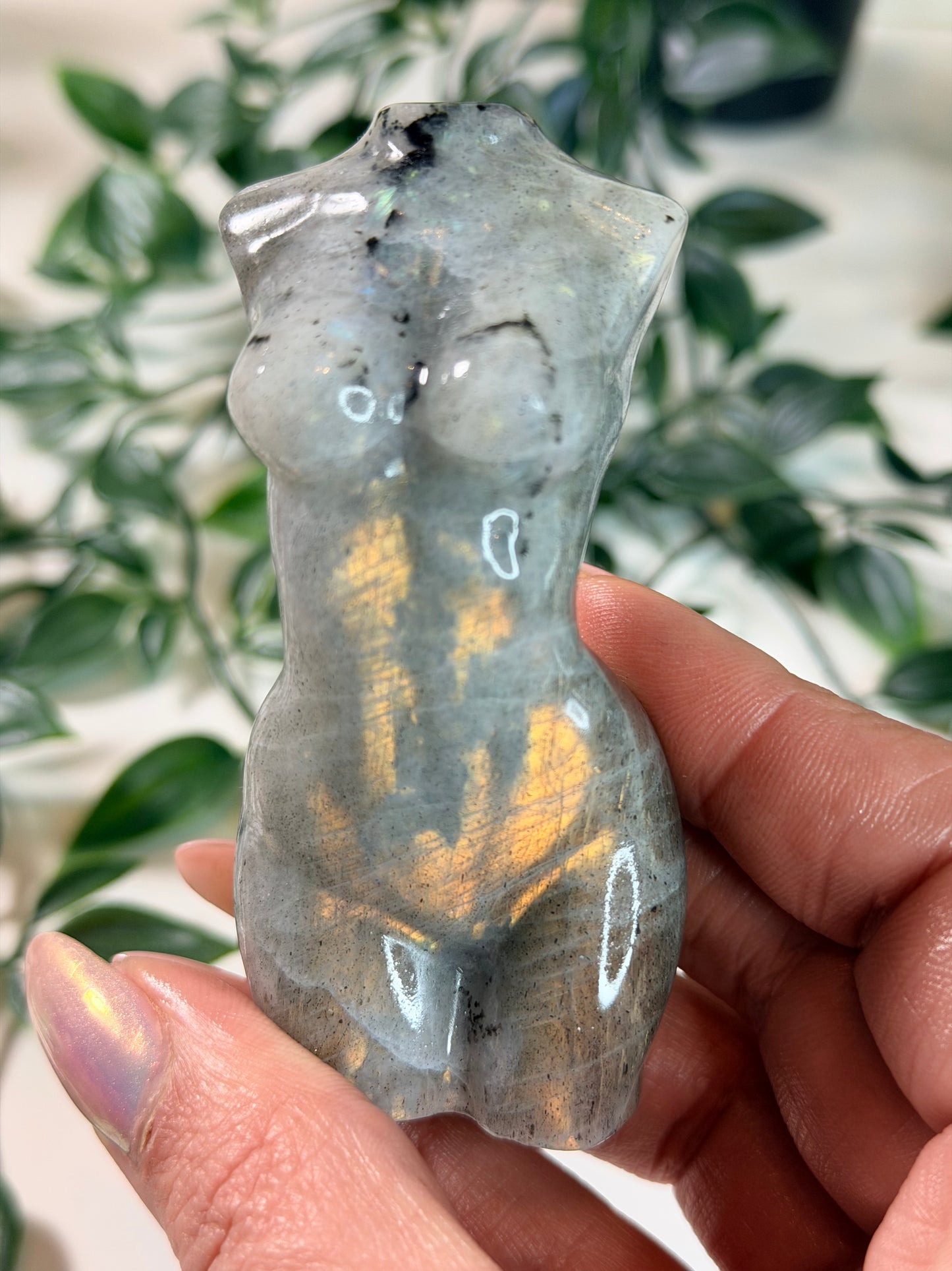 Labradoriet lady body L2