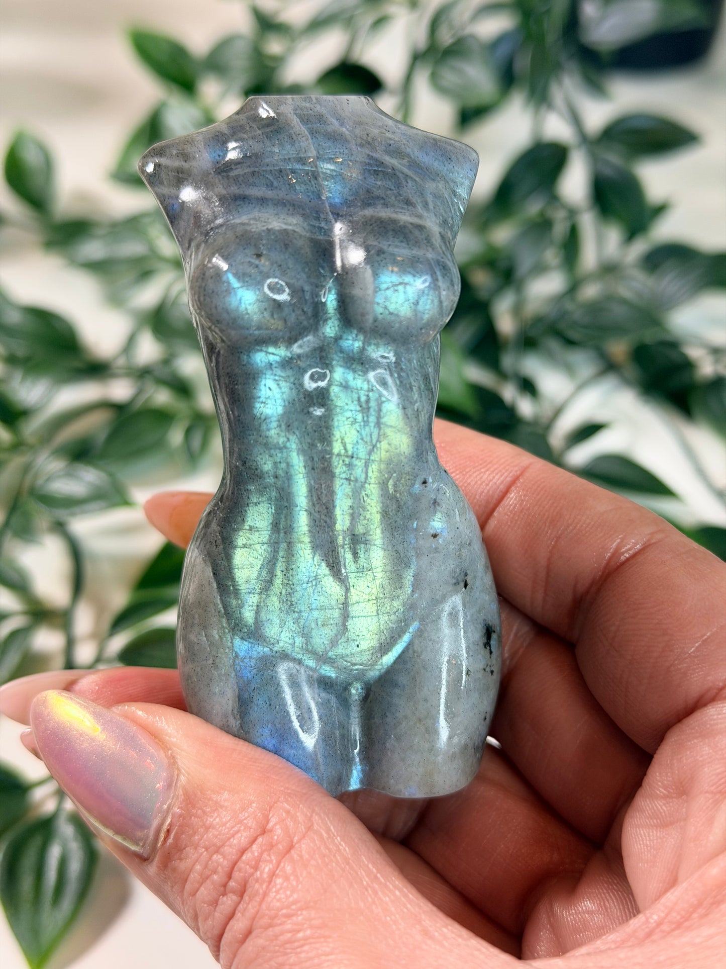 Labradoriet lady body L3