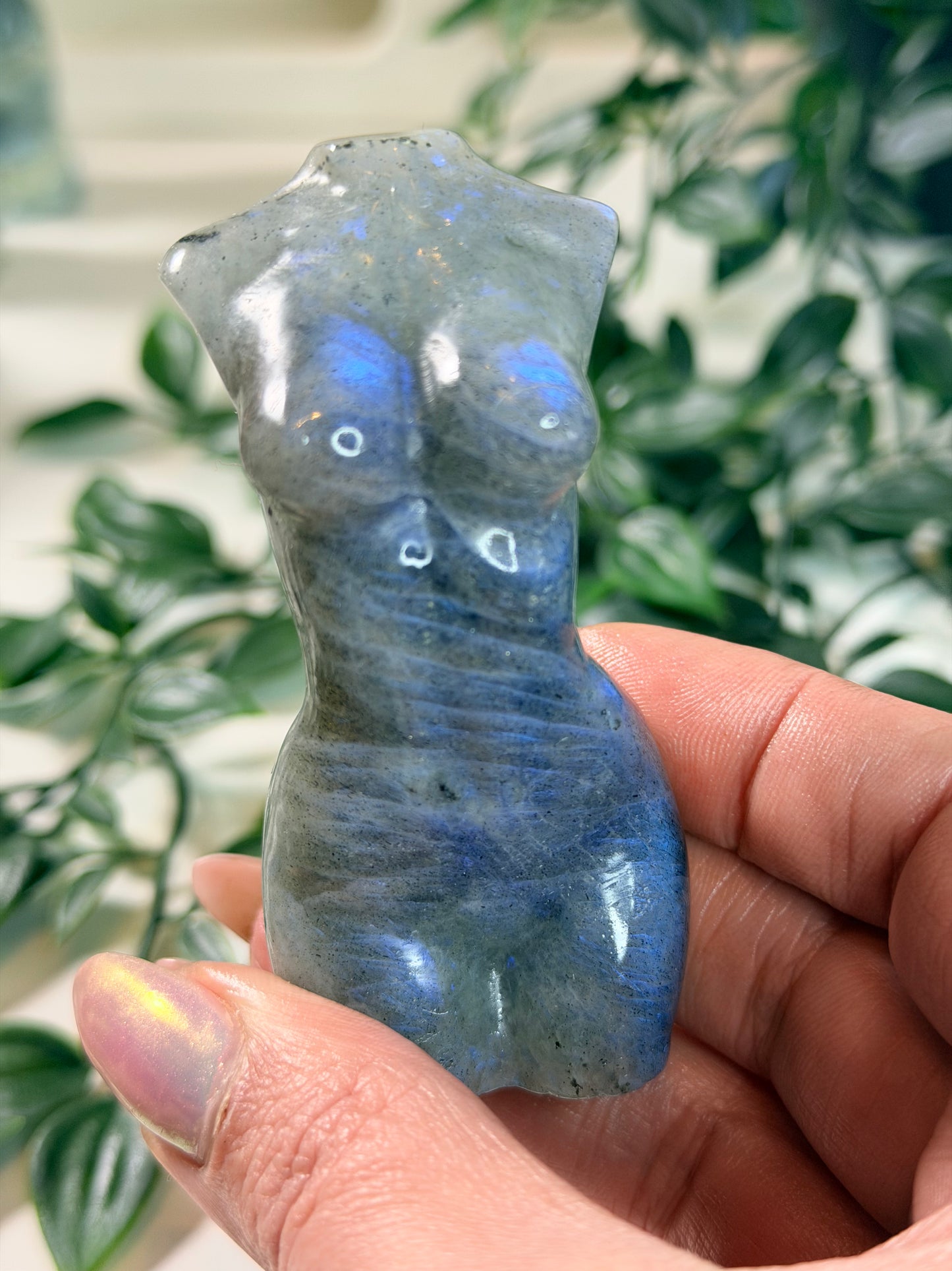 Labradoriet lady body L5