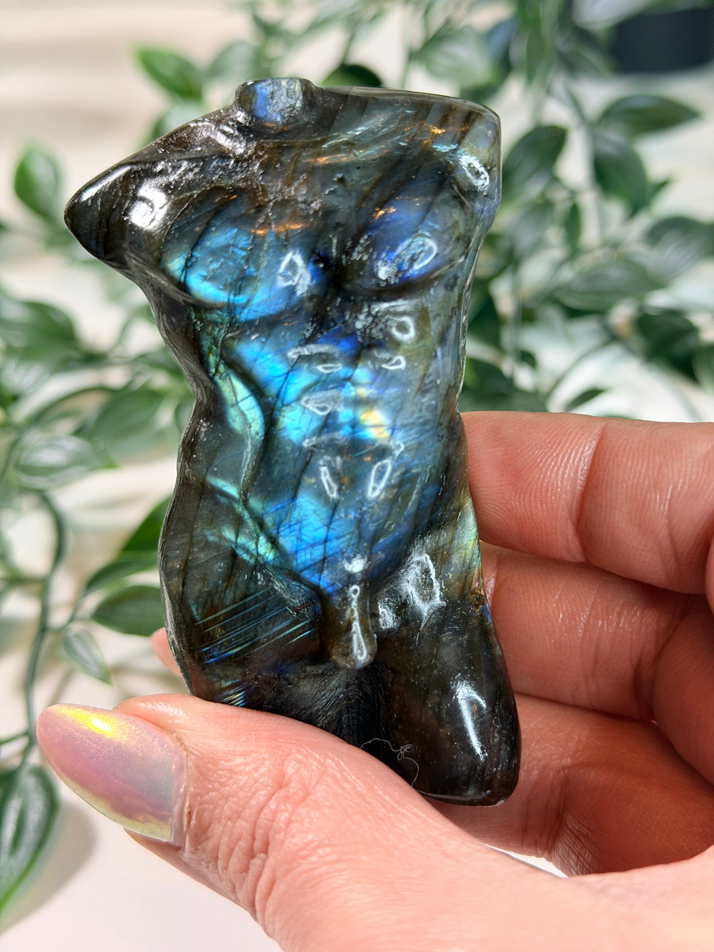 Labradoriet men body L7