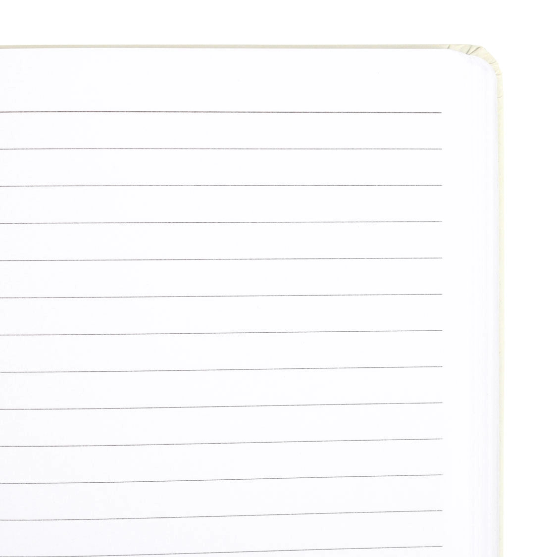 The Moon notitieboek