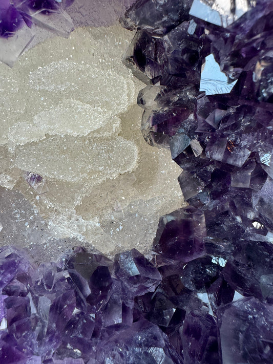 Onze grote paarse vriend Amethist