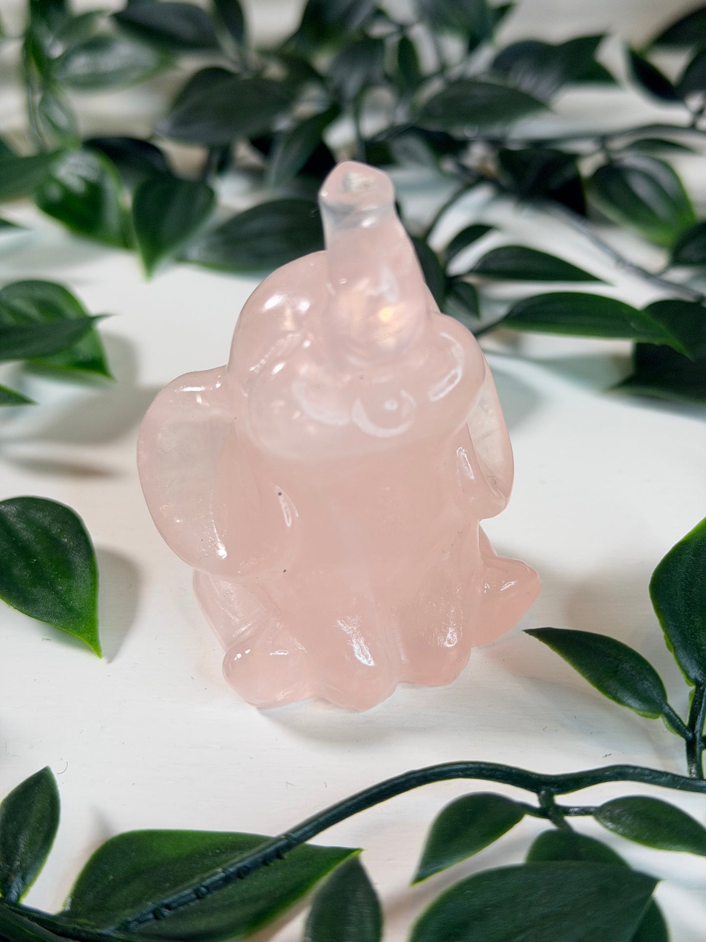 Rozenkwarts olifant 1