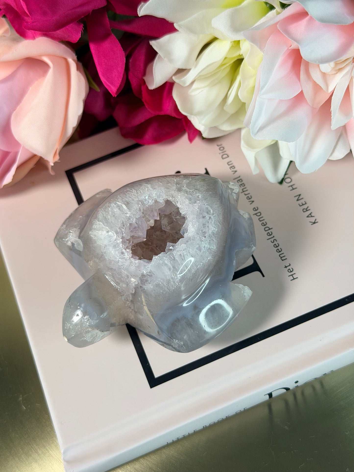 Agaat schildpad 47S2