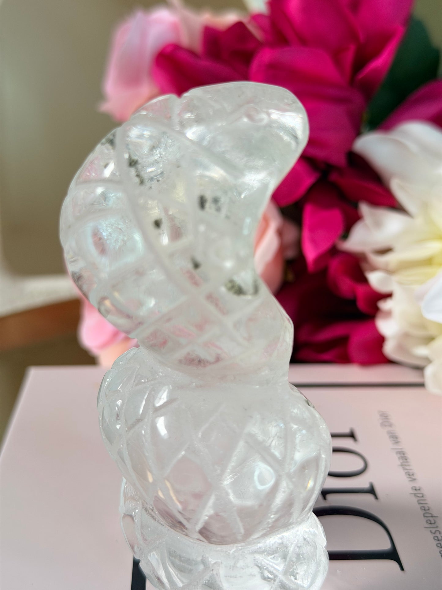 Bergkristal Cobra 2 (met Lodoliet)