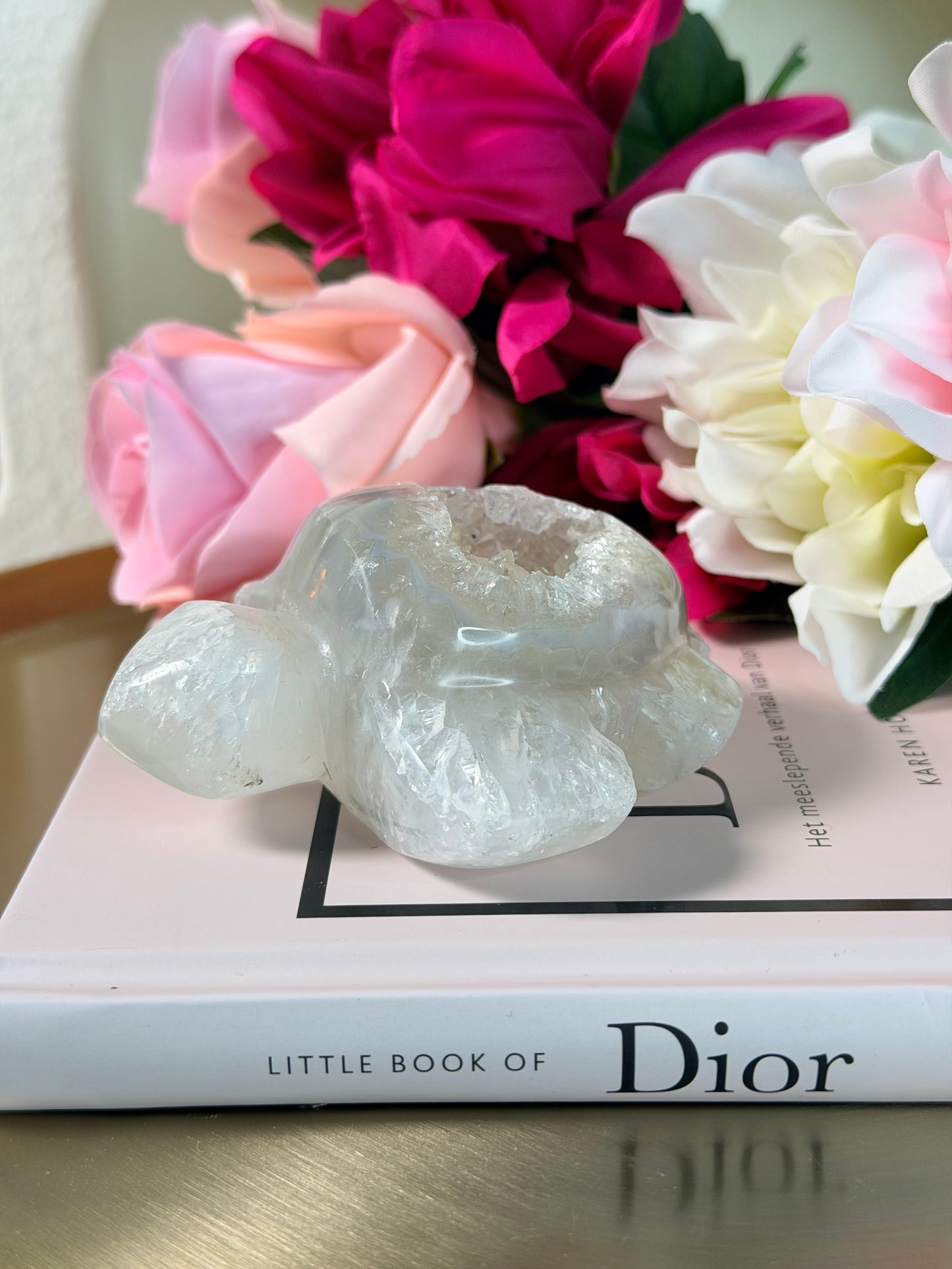 Agaat schildpad 51S2