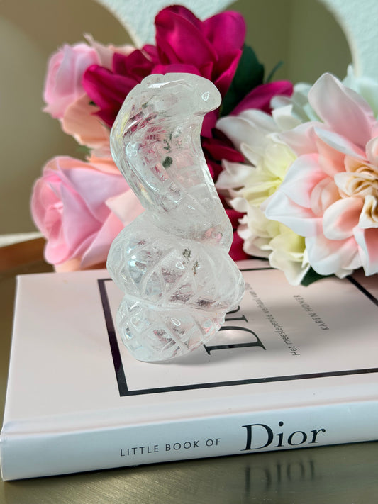 Bergkristal Cobra 2 (met Lodoliet)