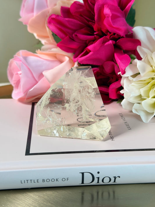 Citrien Freeform 79C