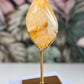 Golden Healer freeform op standaard 2