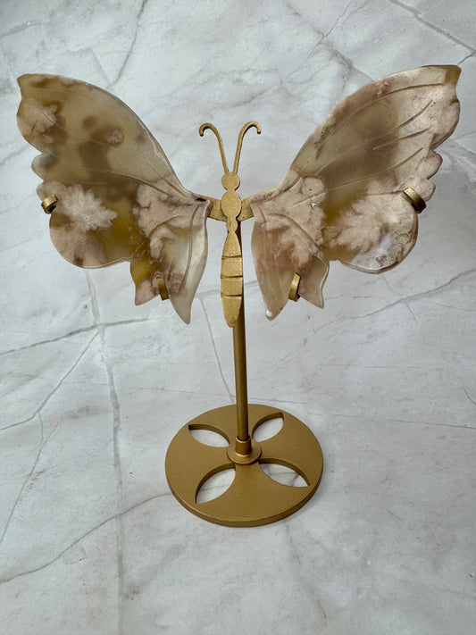 Bloem Agaat vlinder 34