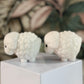 Witte Jade schapen (kies je favo)