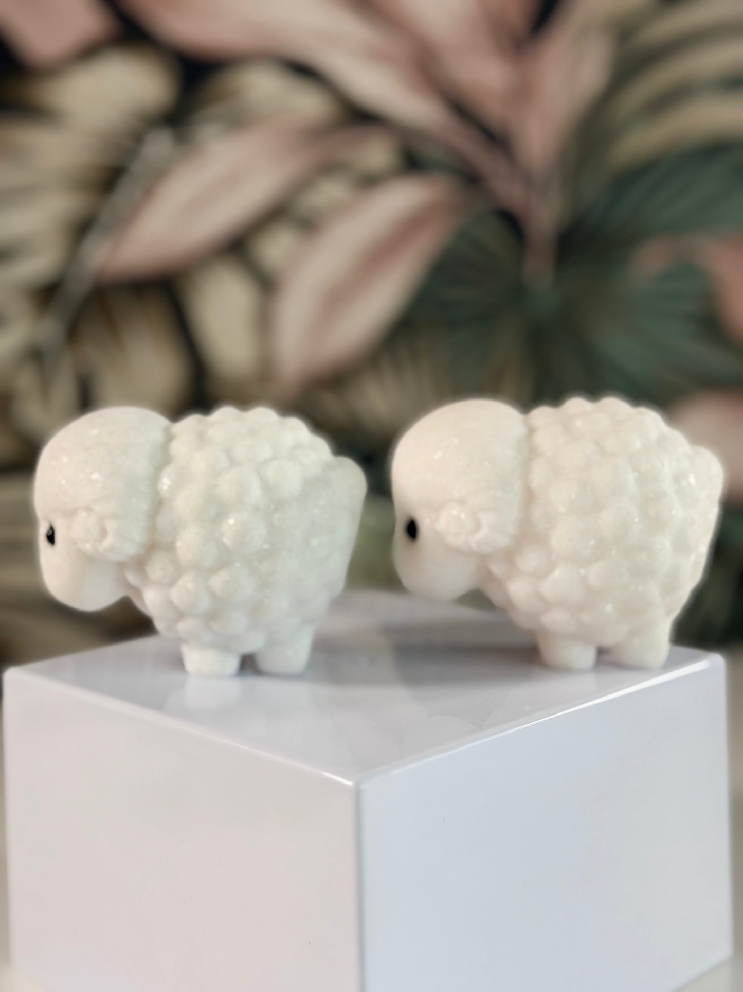 Witte Jade schapen (kies je favo)