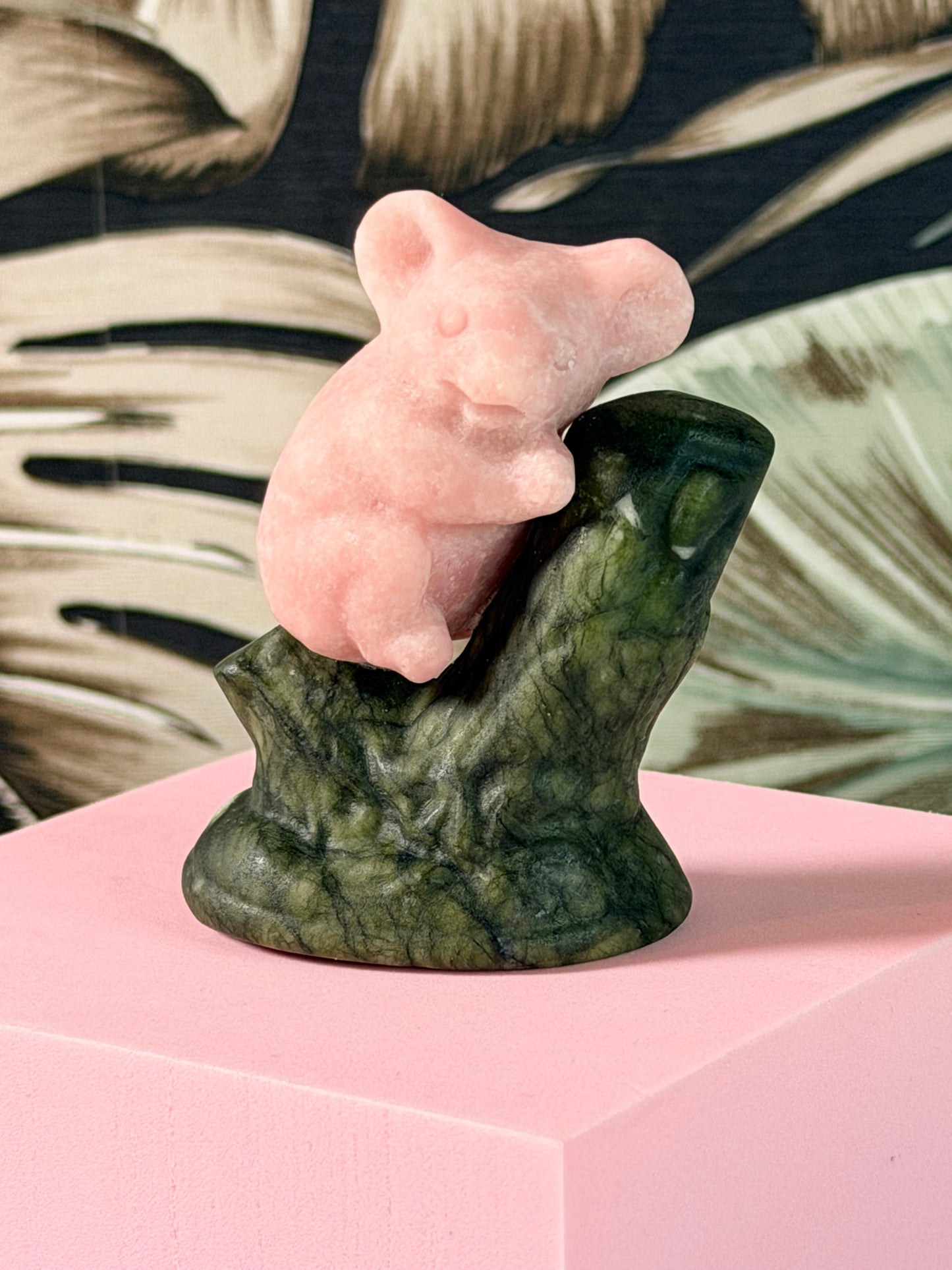 Rosa Opal-Koala 2